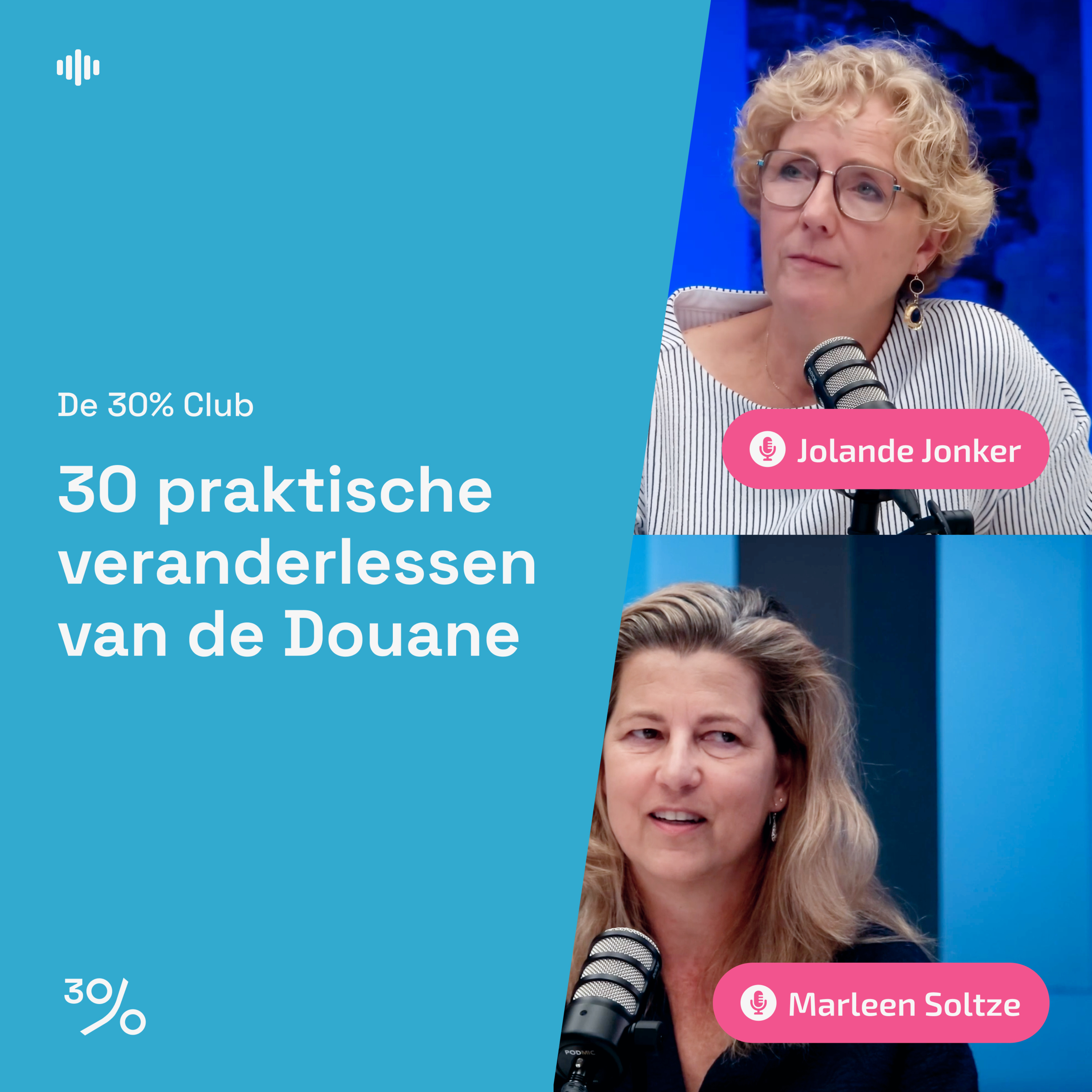 De 30% Club