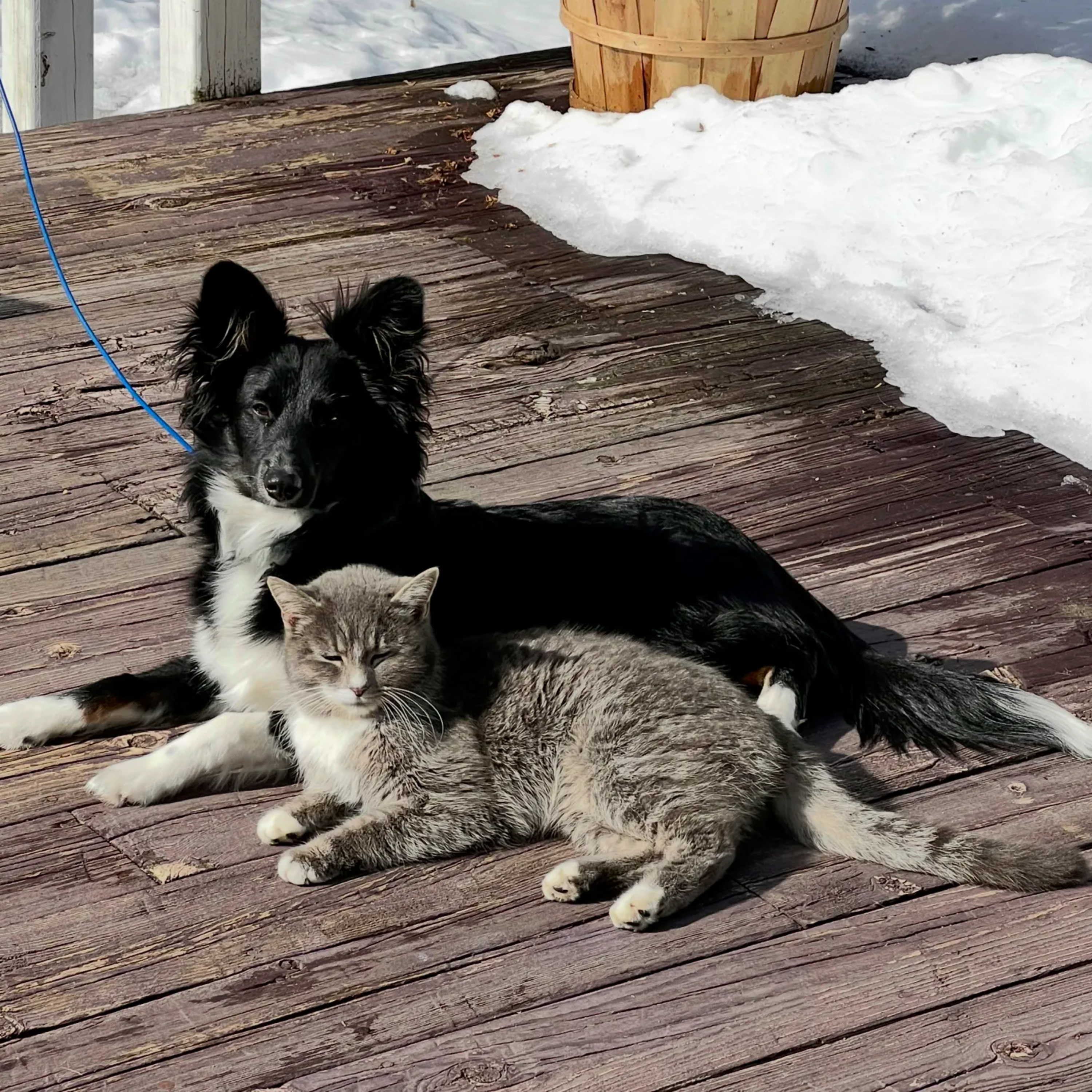 Stop Herding the Cats: When We Try to Impress a God Who’s Already Pleased episode artwork