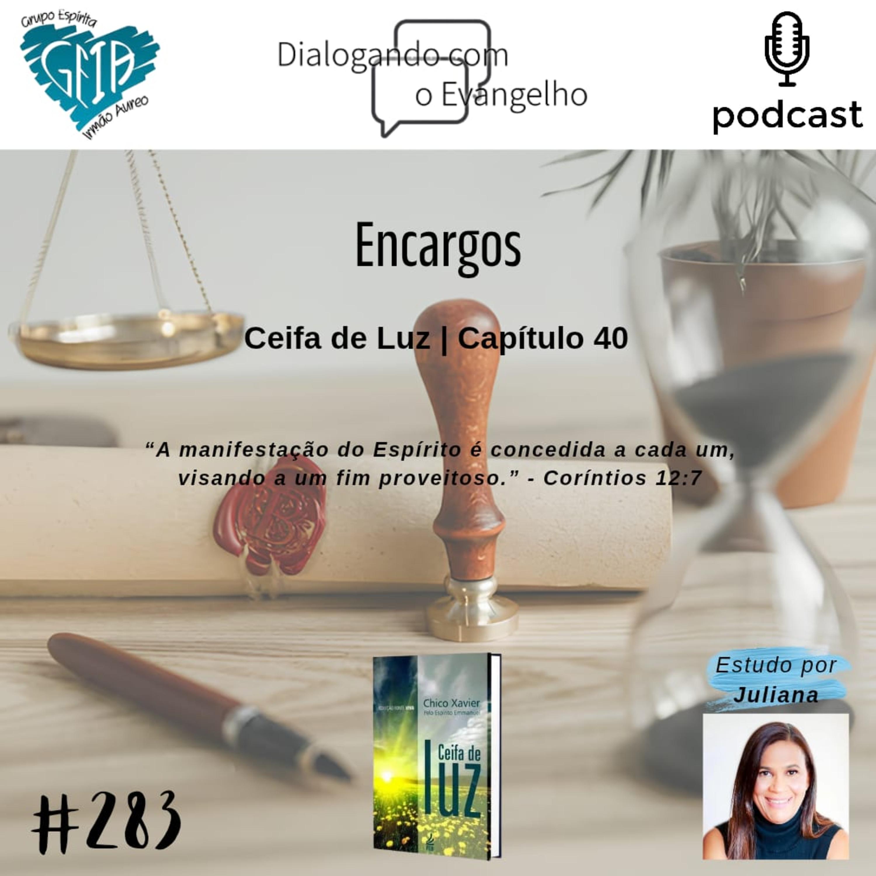 CEIFA DE LUZ - CAP. 40 - ENCARGOS