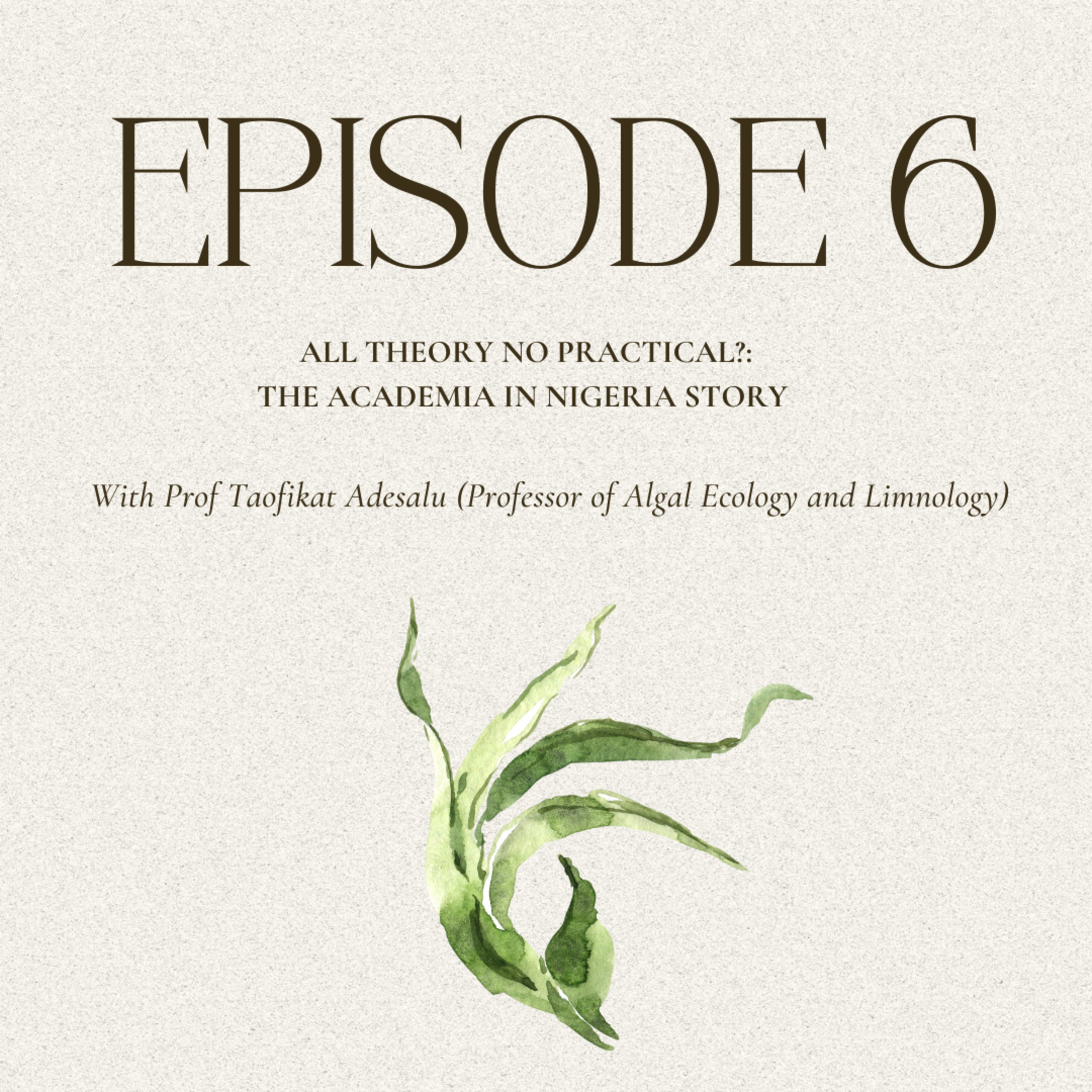 Episode 6: All Theory No Practical?: The Academia in Nigeria Story with Prof. Taofikat Adesalu