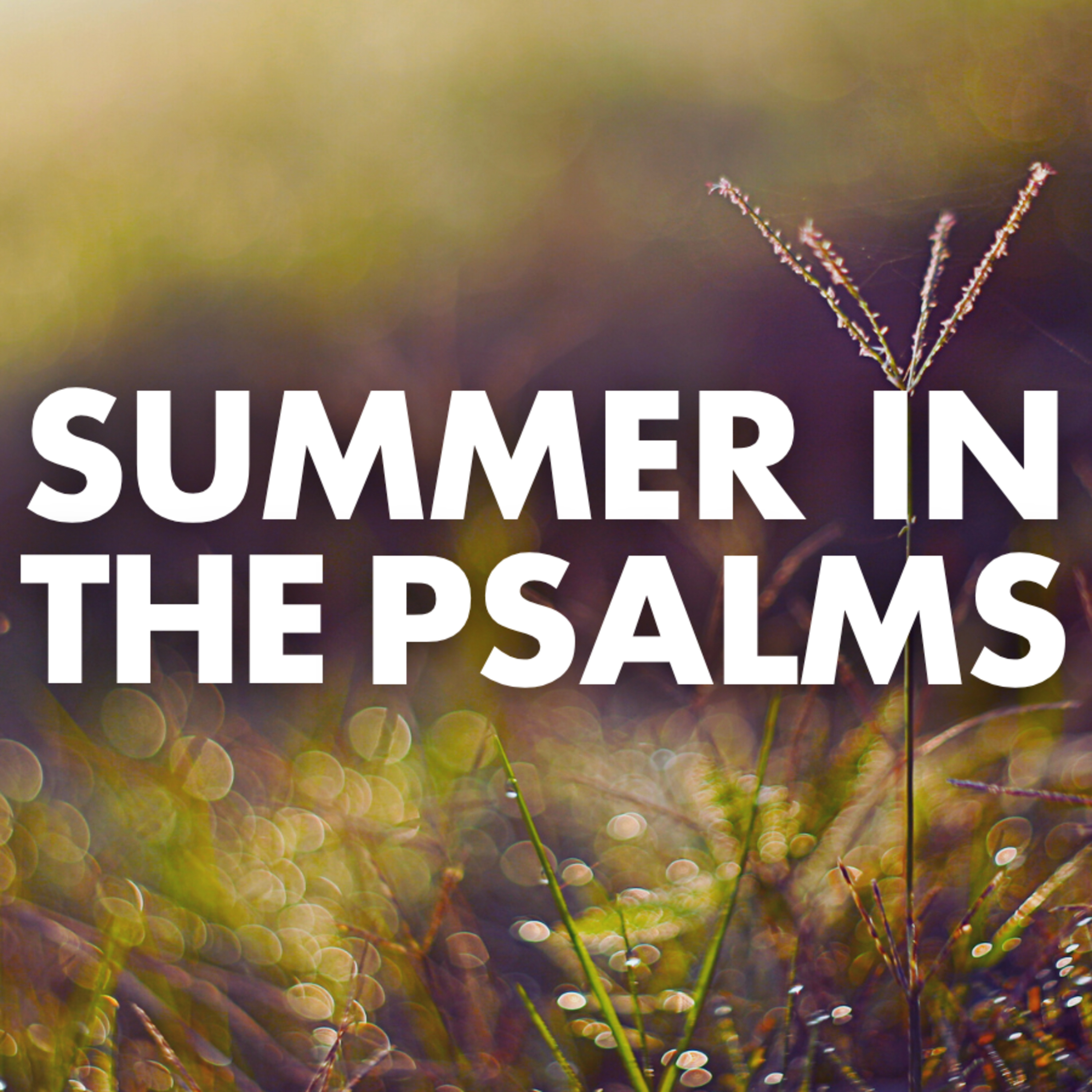 Marvel at God | Psalm 98 episode artwork