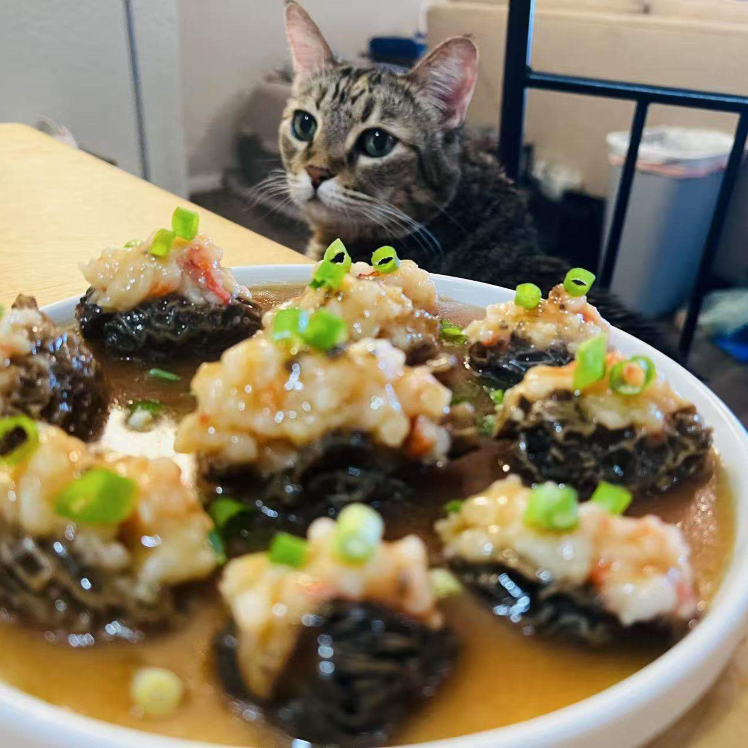 07｜从德州烧烤到MIT厨房：博士小刘的味觉漂流