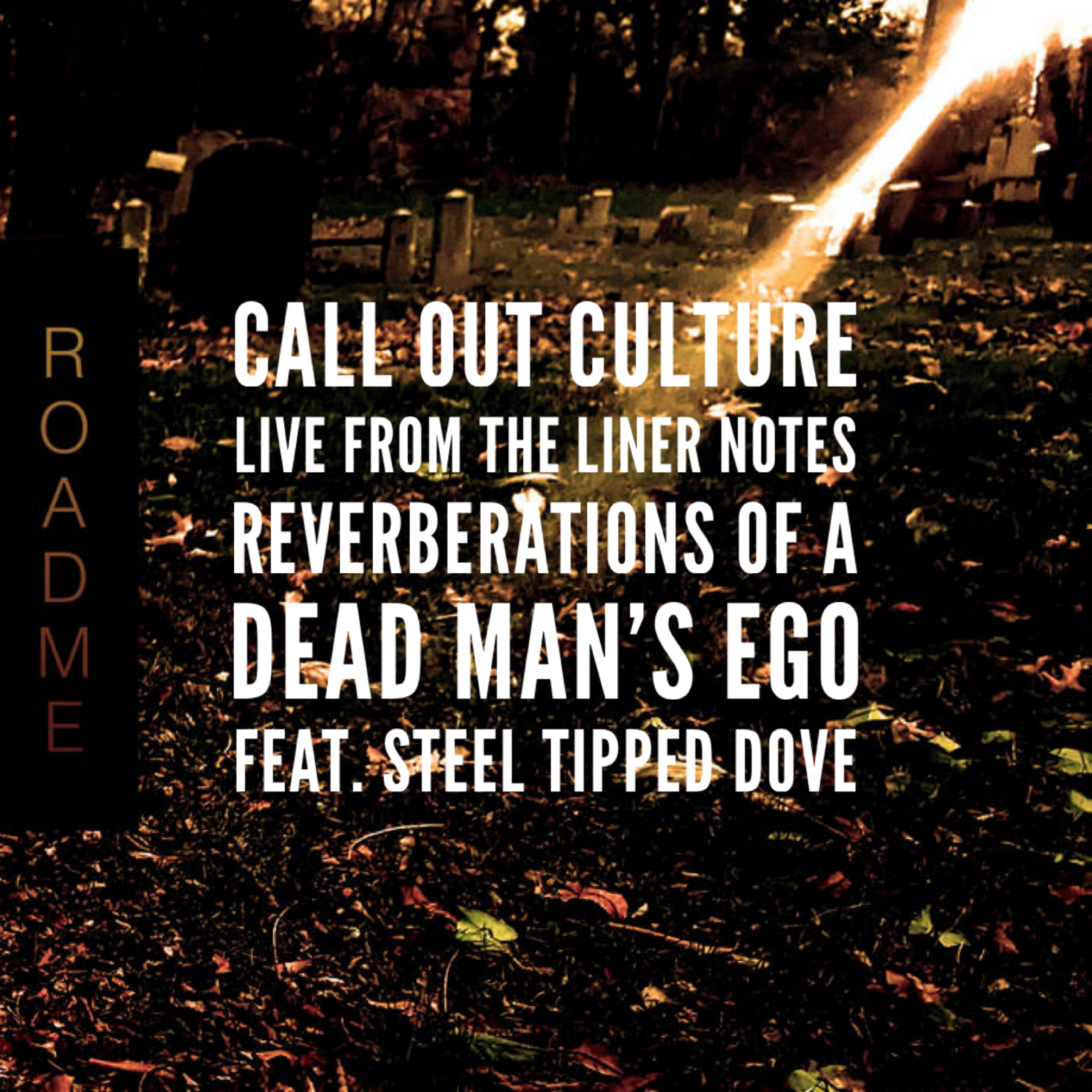 Live From the Liner Notes: "Reverberations of a Dead Man's Ego" with Steel Tipped Dove episode artwork