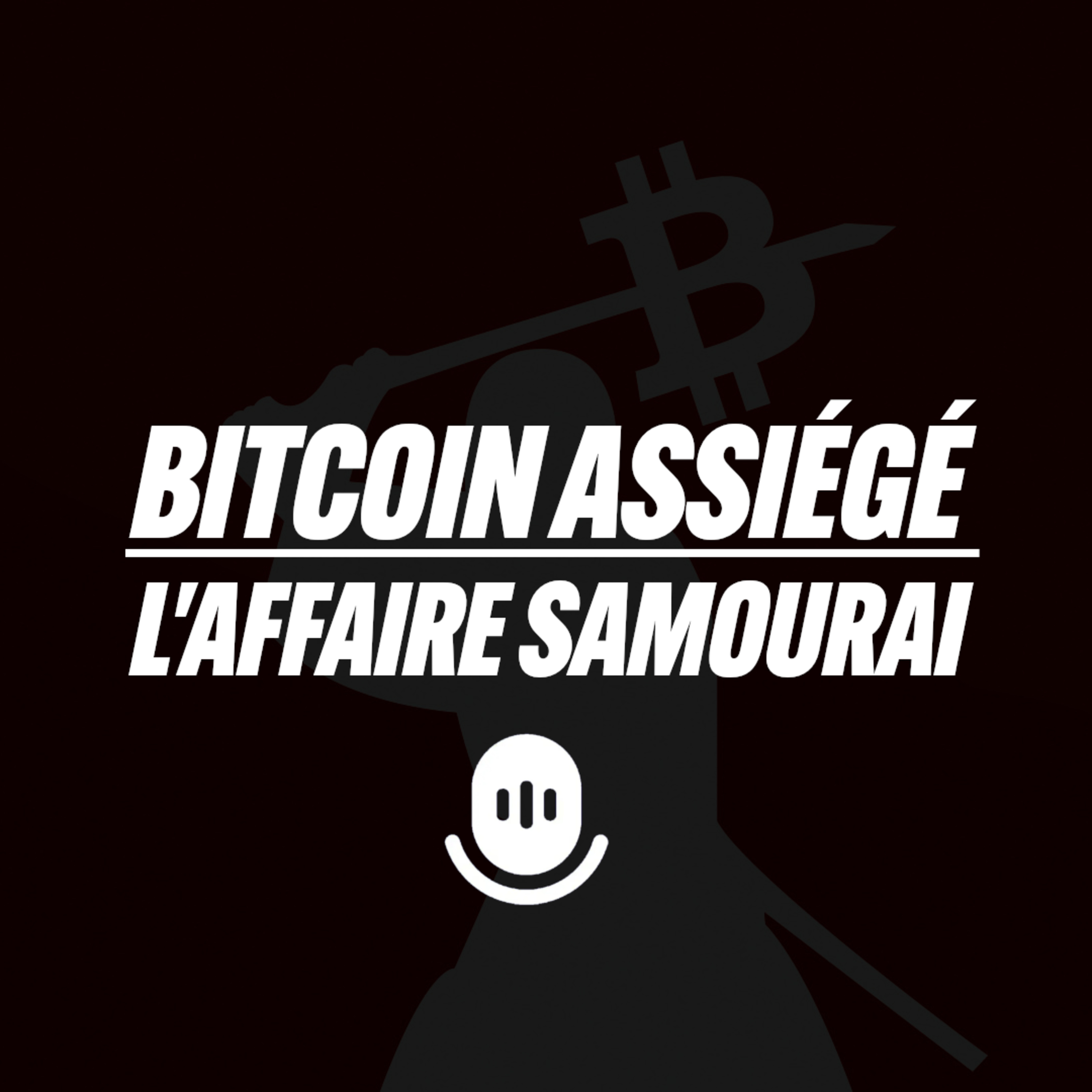 Bull Bitcoin Podcast 🇫🇷