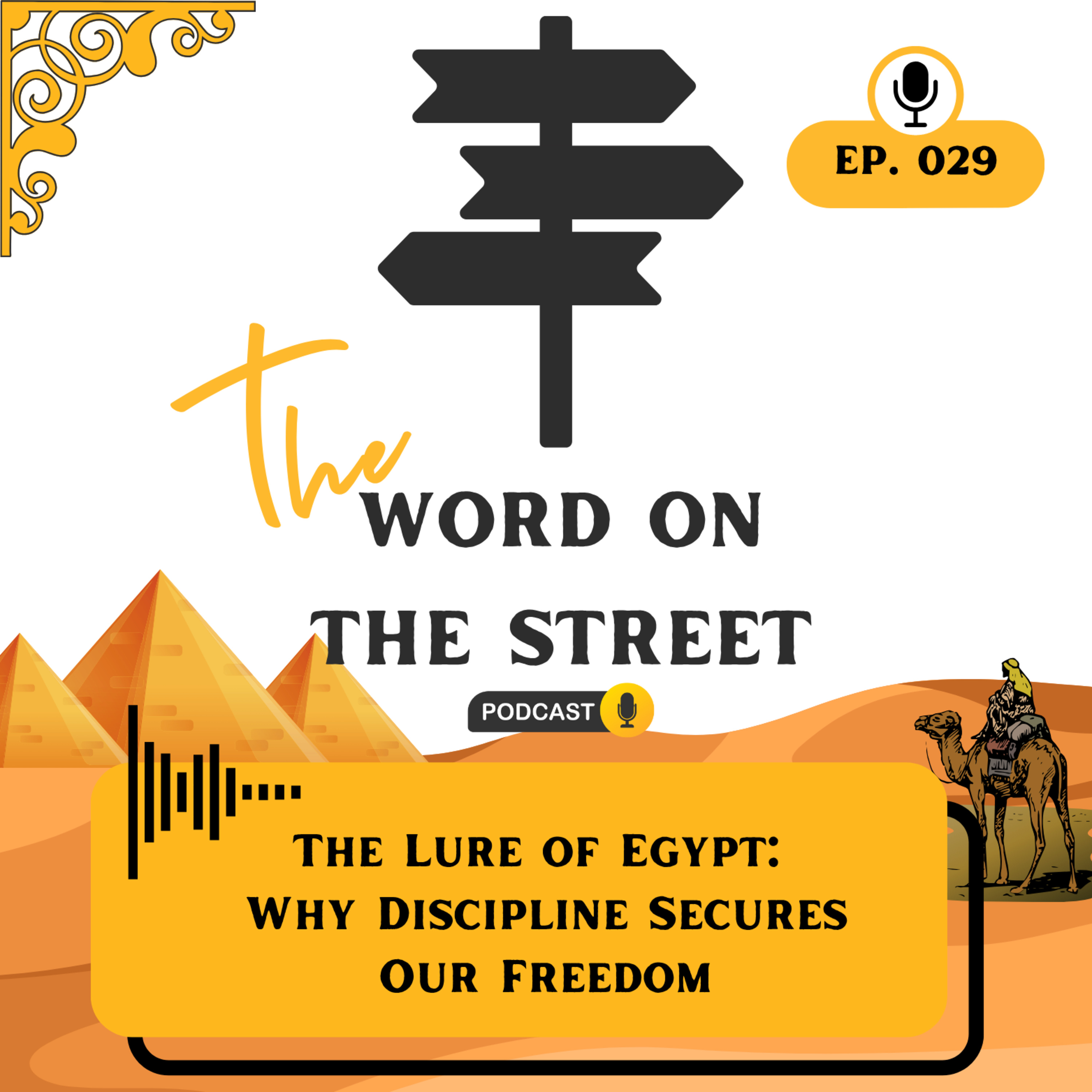 EP.029 "Maturing in Freedom: From Deliverance to Daily Discipline" episode artwork