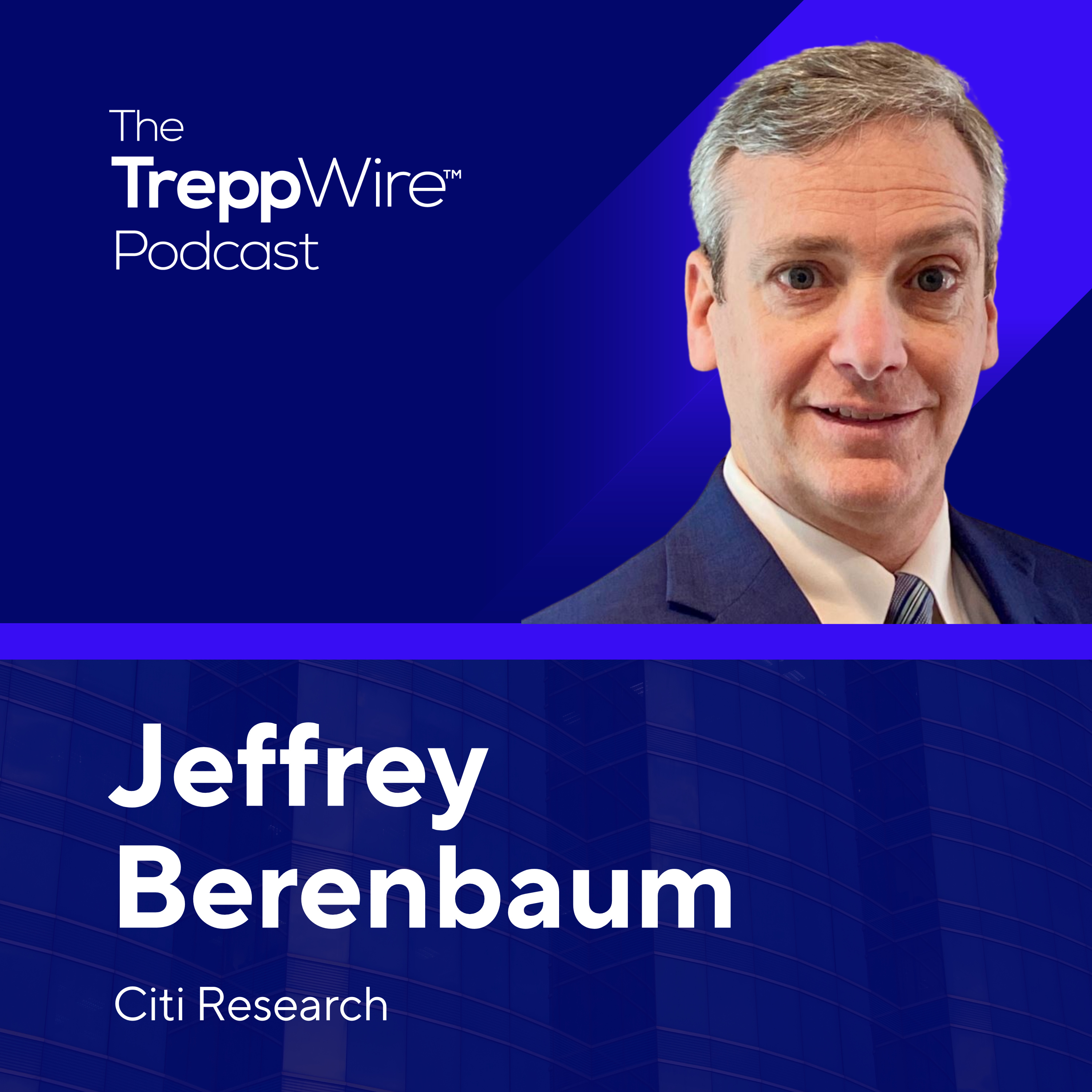 339. From Data Centers to Derivatives: The 4 Ds of 2025 with Jeffrey Berenbaum of Citi Research episode artwork