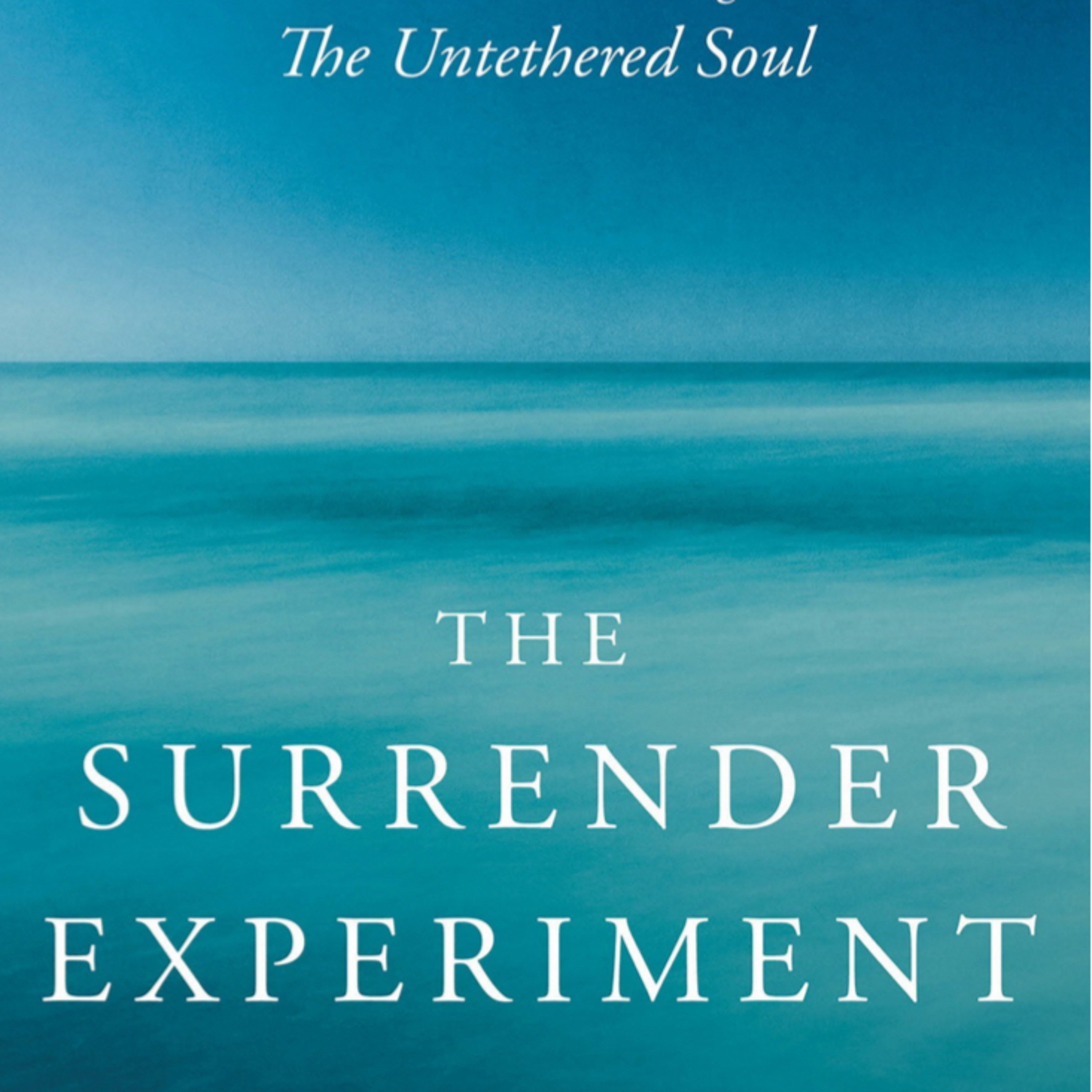 The Surrender Experiment episode artwork