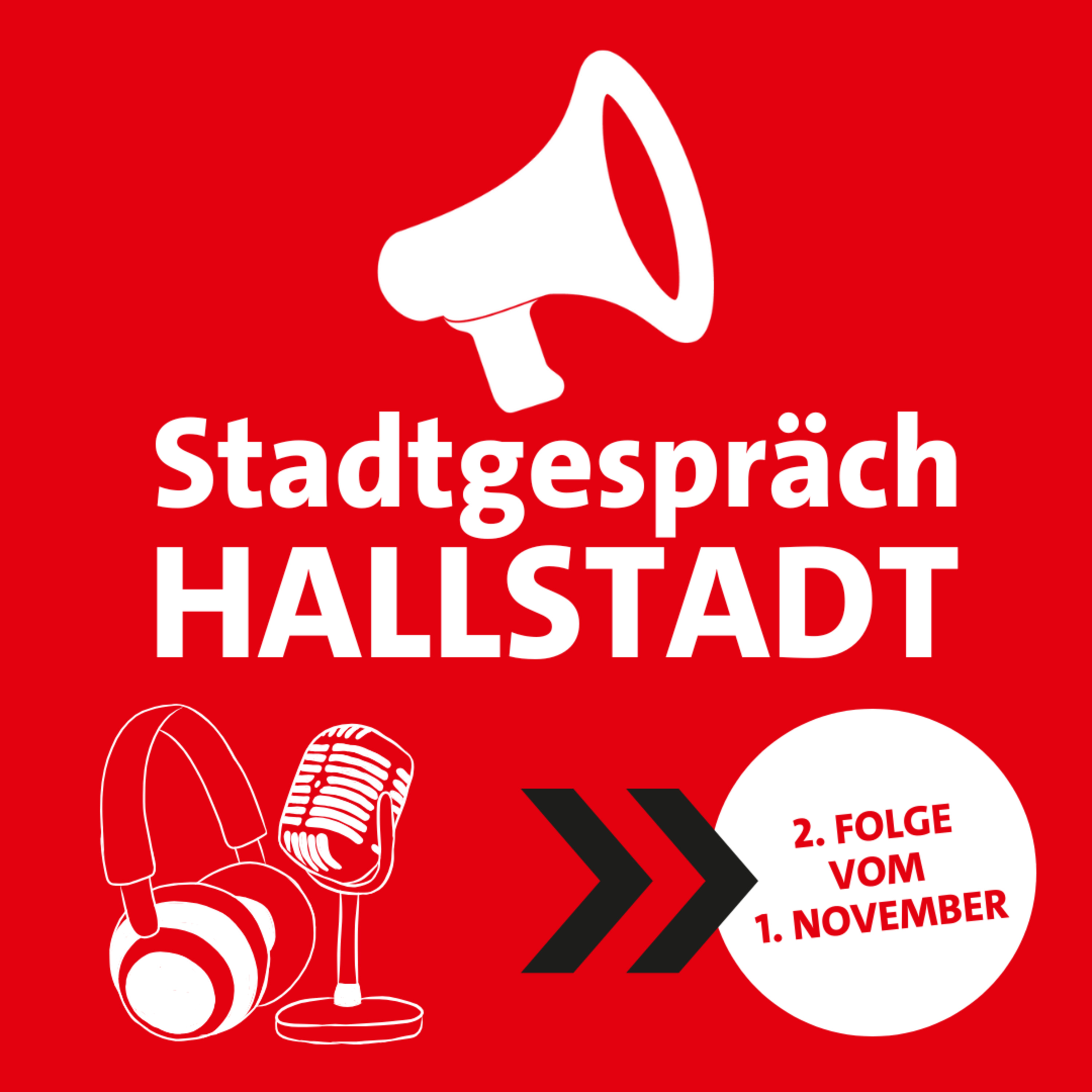 Stadtgespräch Hallstadt