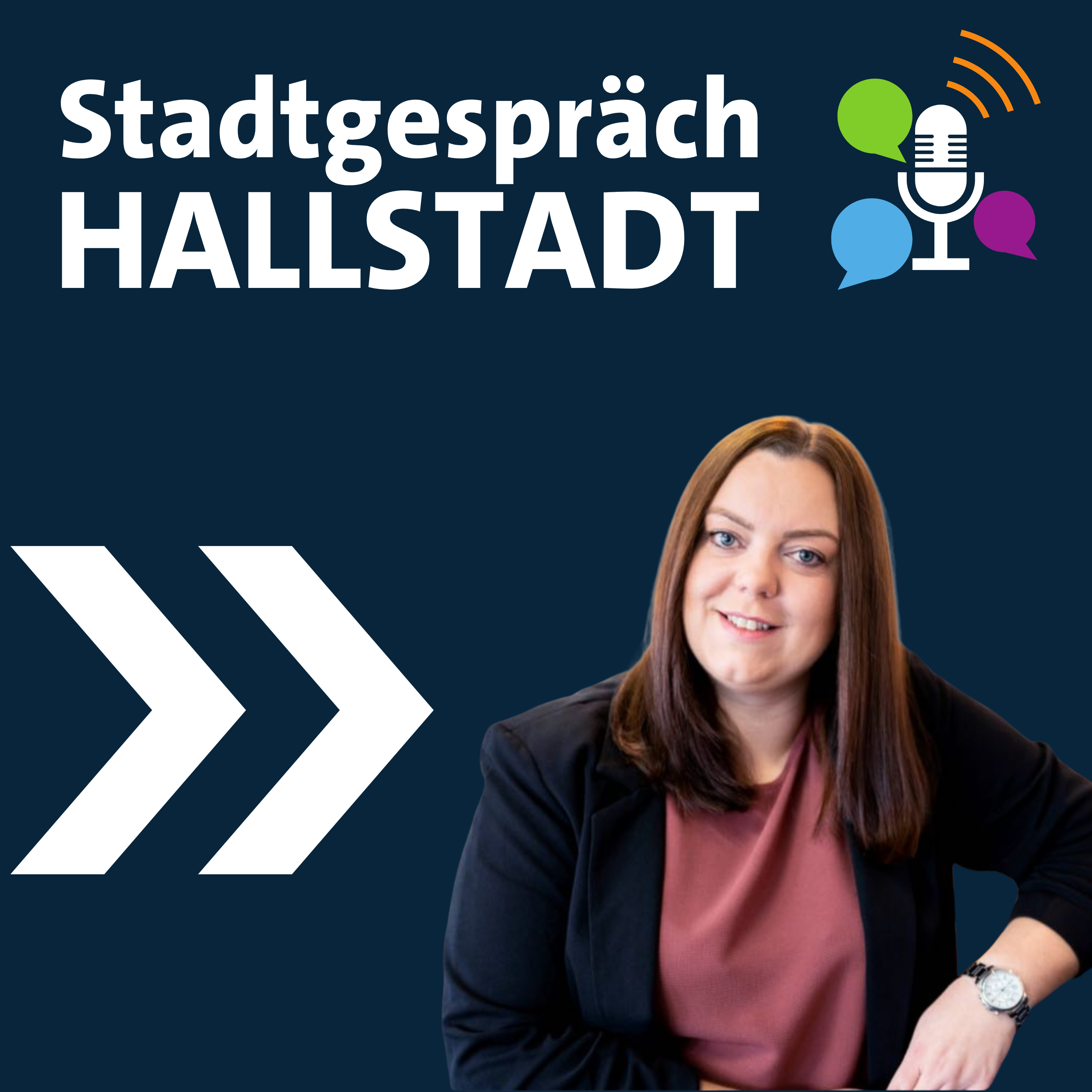 Stadtgespräch Hallstadt