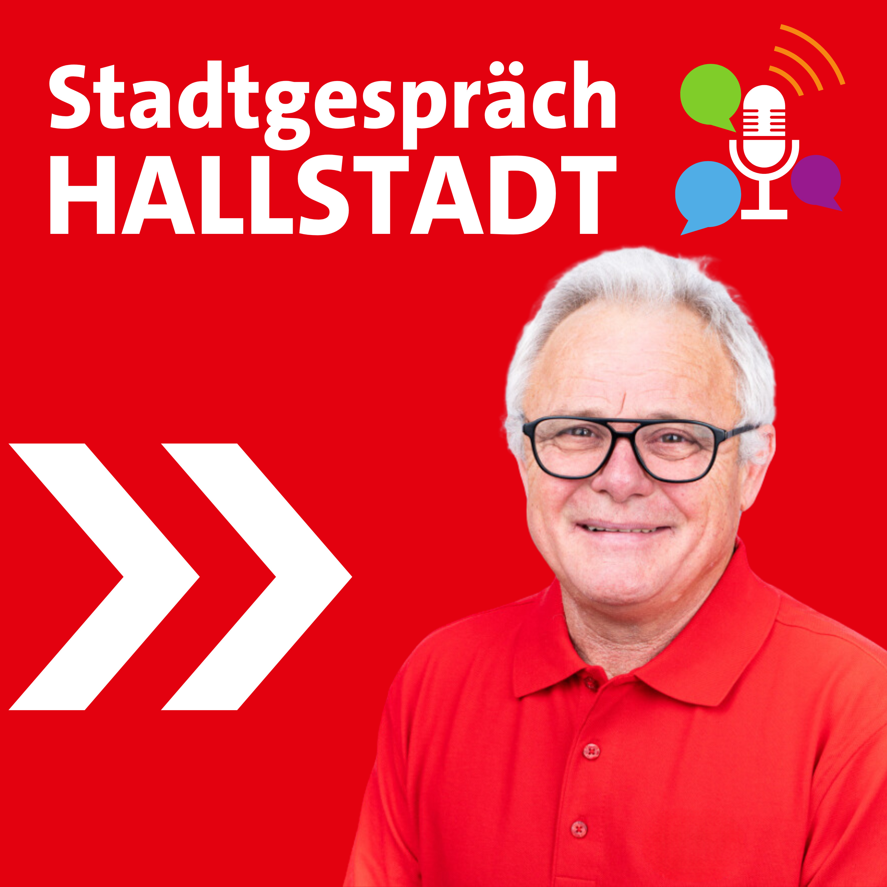 Stadtgespräch Hallstadt