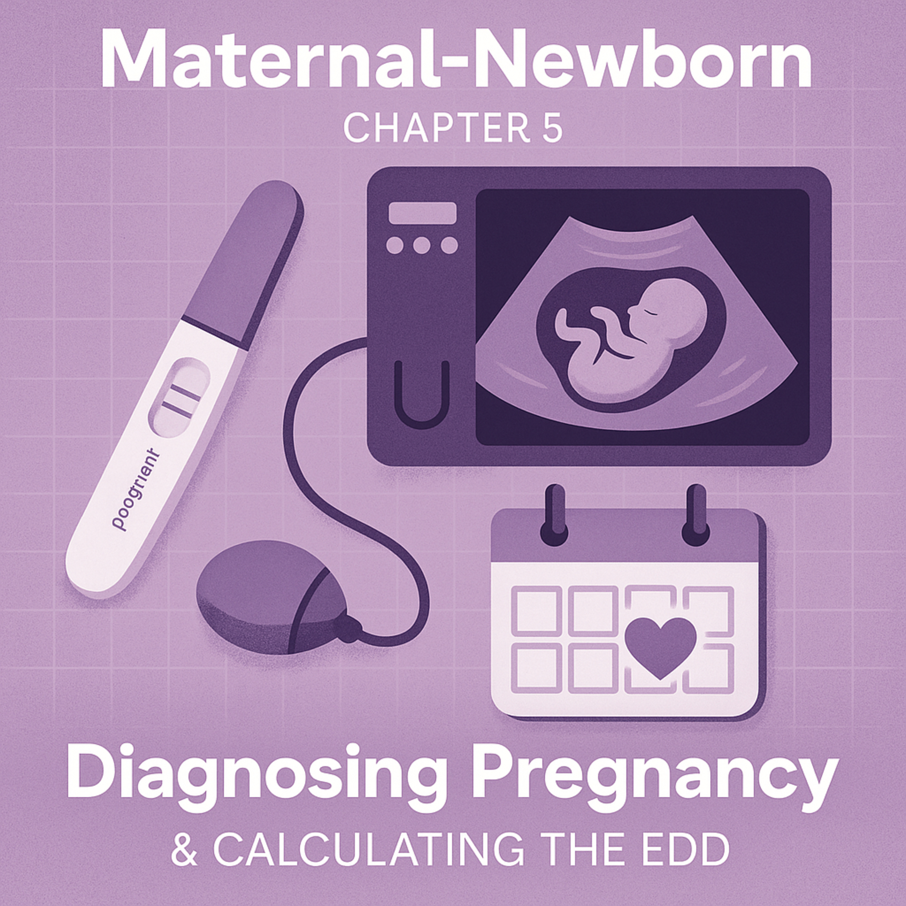 Maternal-Newborn: Chapter 5 – Diagnosing Pregnancy & Calculating the EDD episode artwork