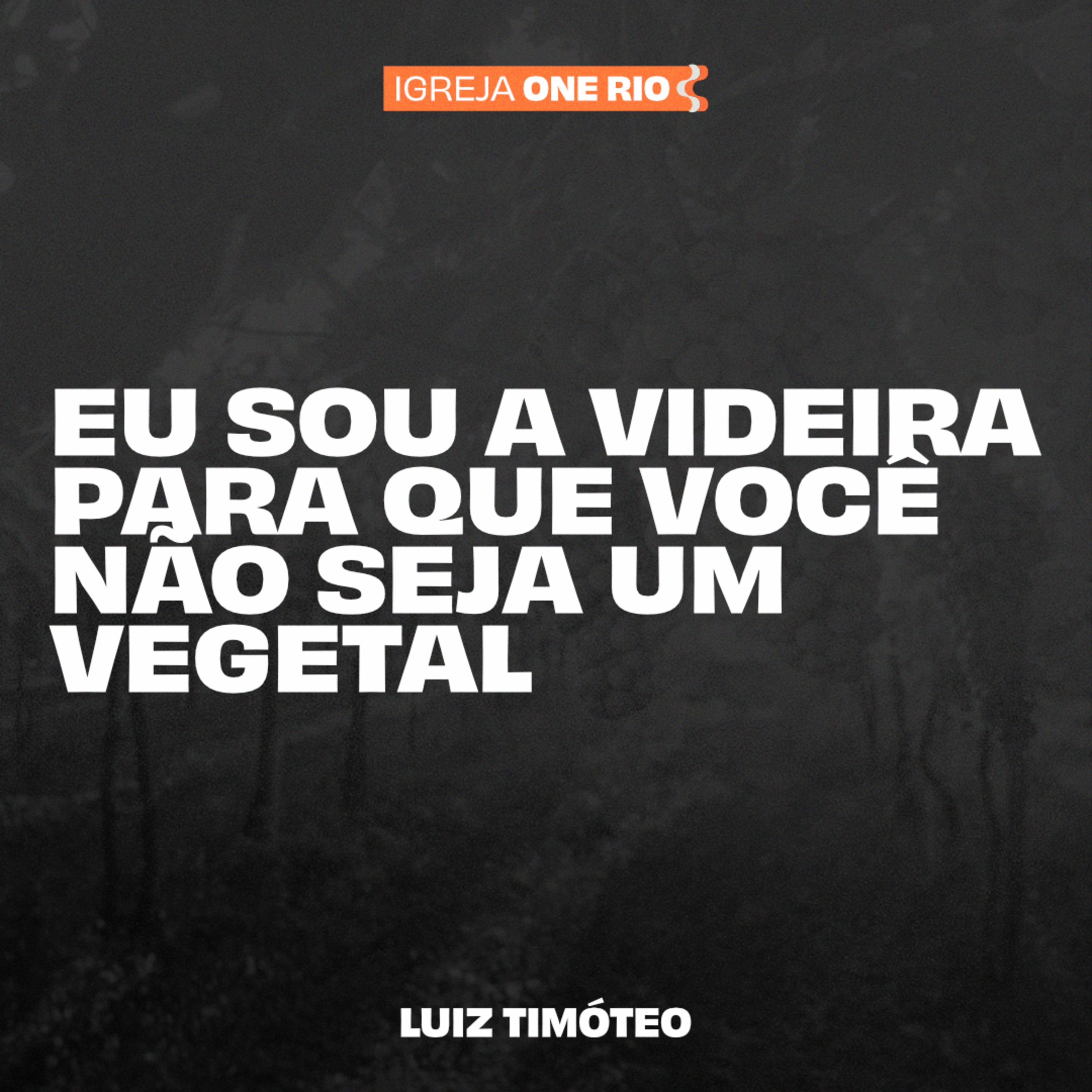 EU SOU A VIDEIRA PARA QUE VOCÊ NÃO SEJA UM VEGETAL | Luiz Timóteo