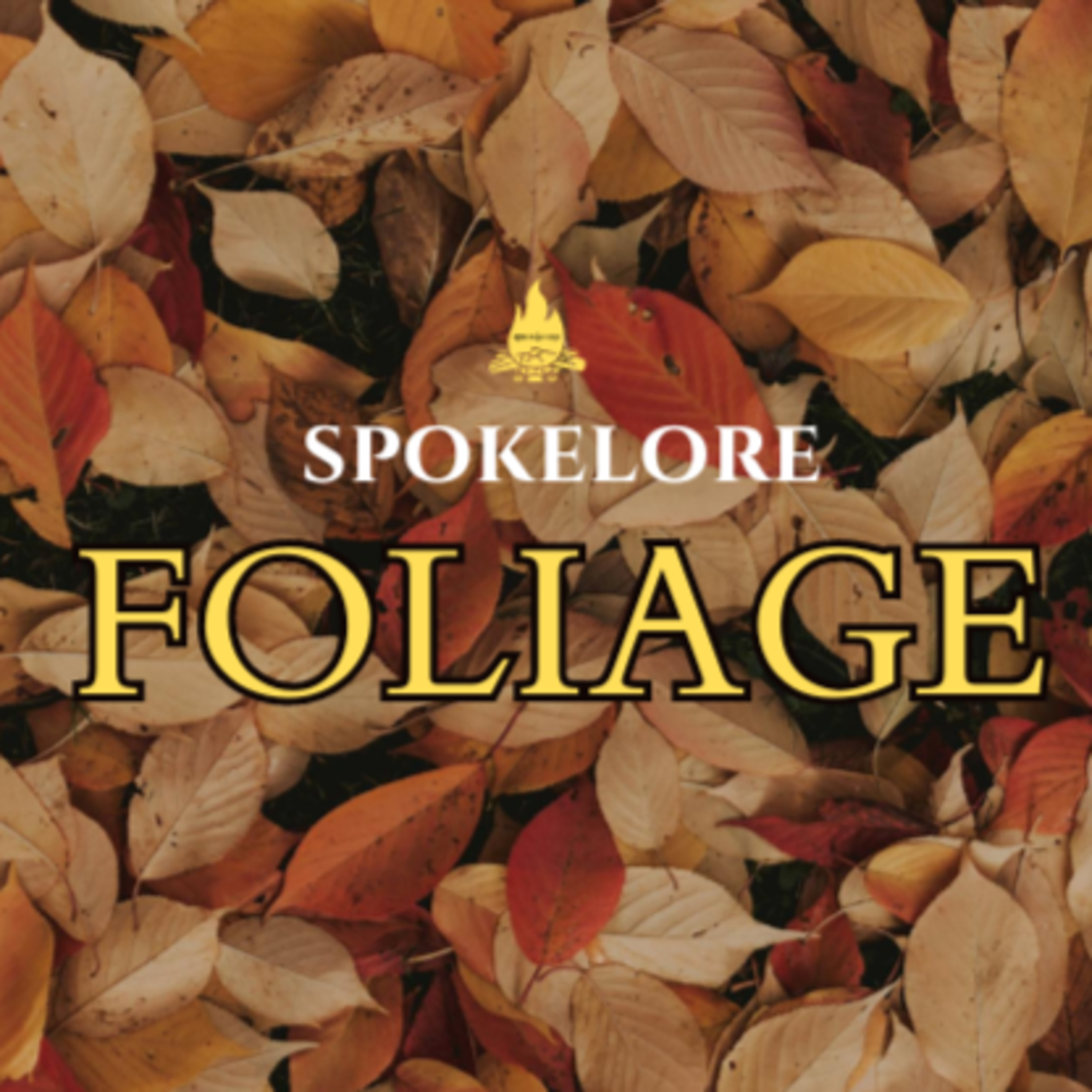 Teaser: Welcome to Spokelore