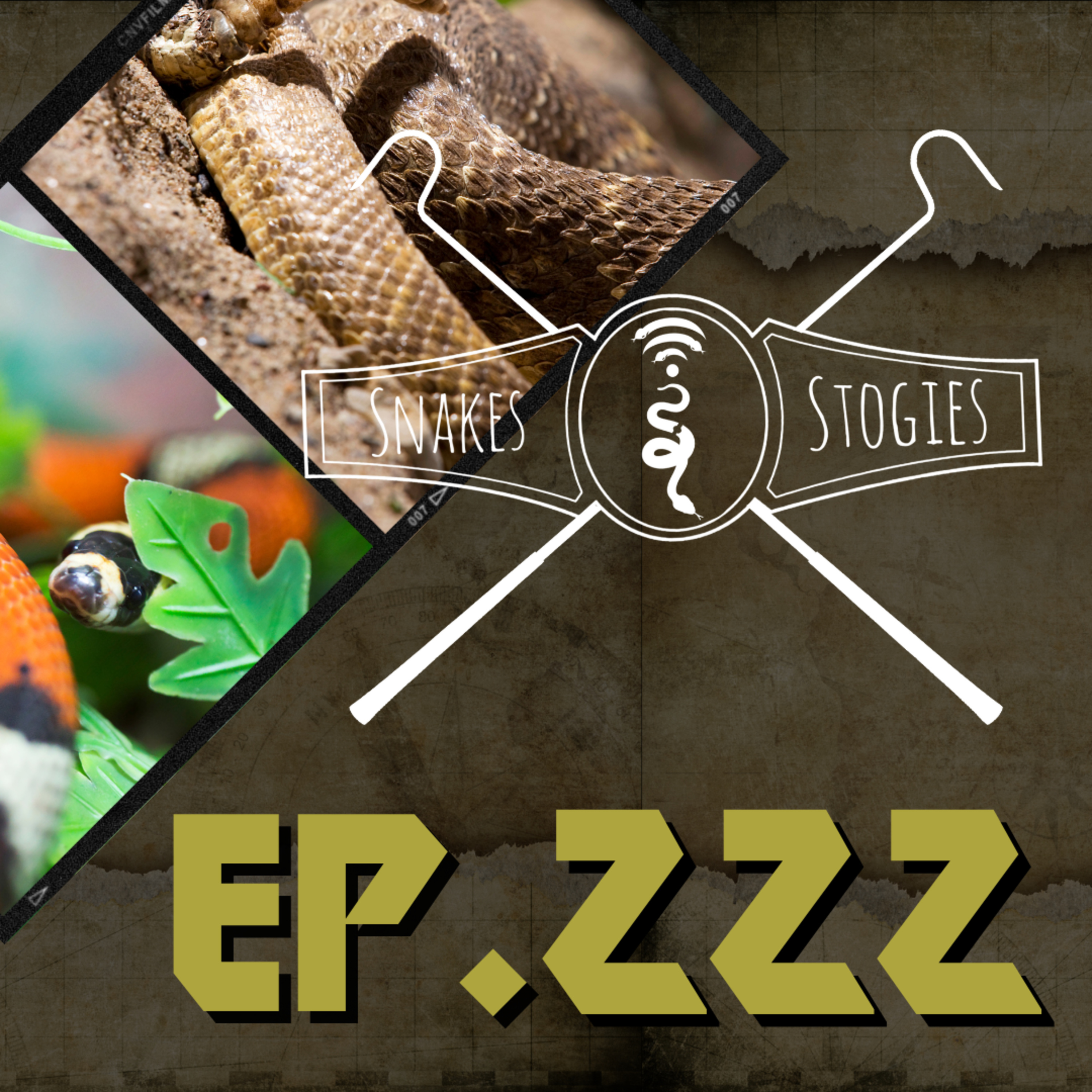 The Grahn-d Return | Snakes & Stogies Ep. 222 episode artwork