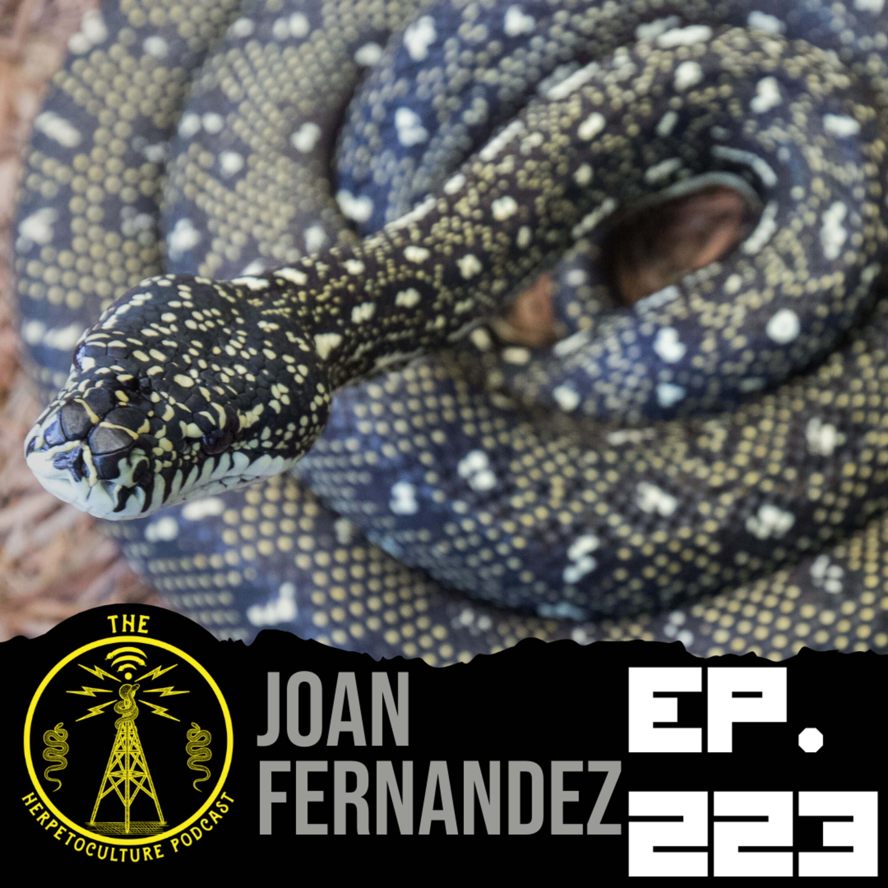 The Herpetoculture Network