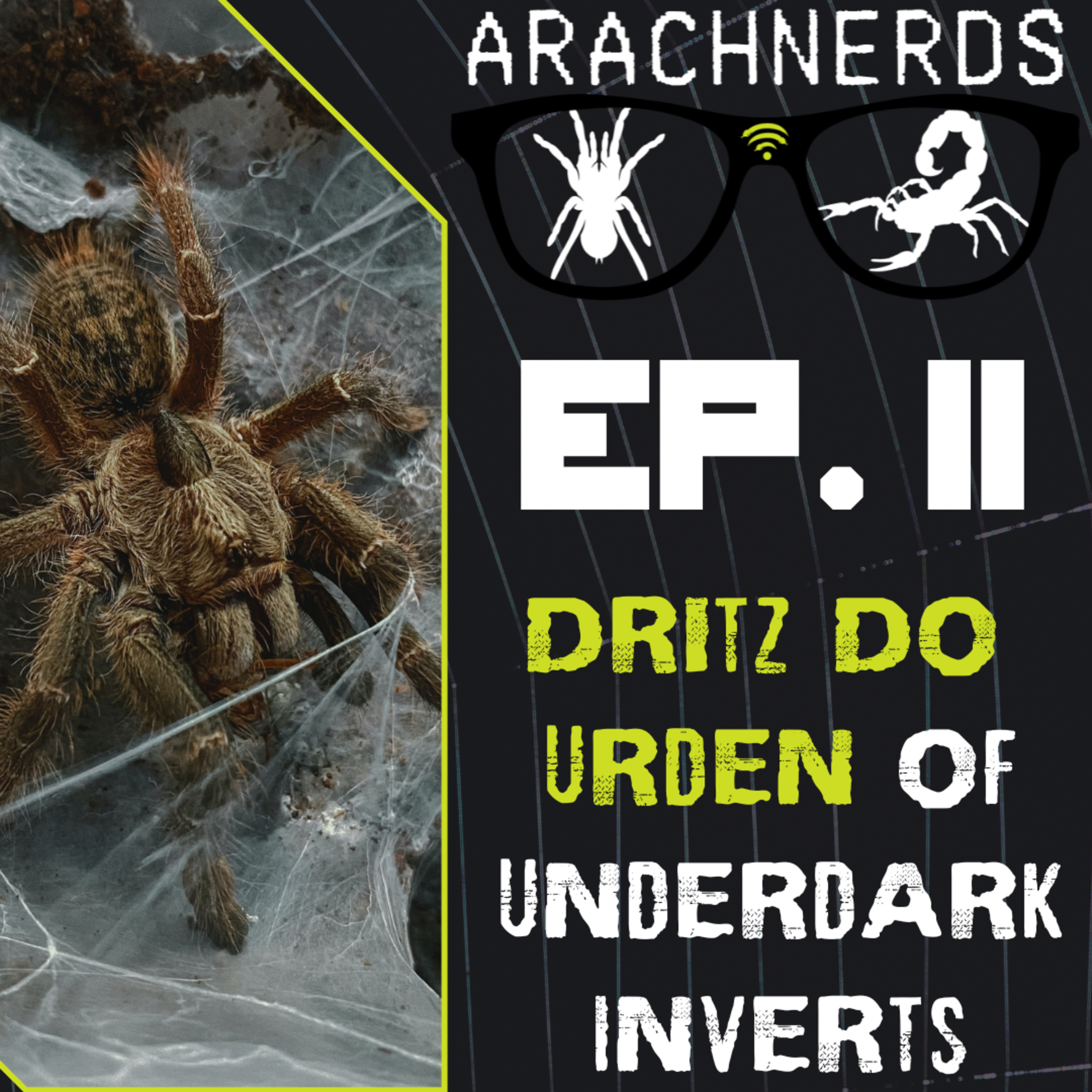 Dritz Do Urden of Underdark Inverts | Part 1 | ArachNerds Ep. 11 episode artwork