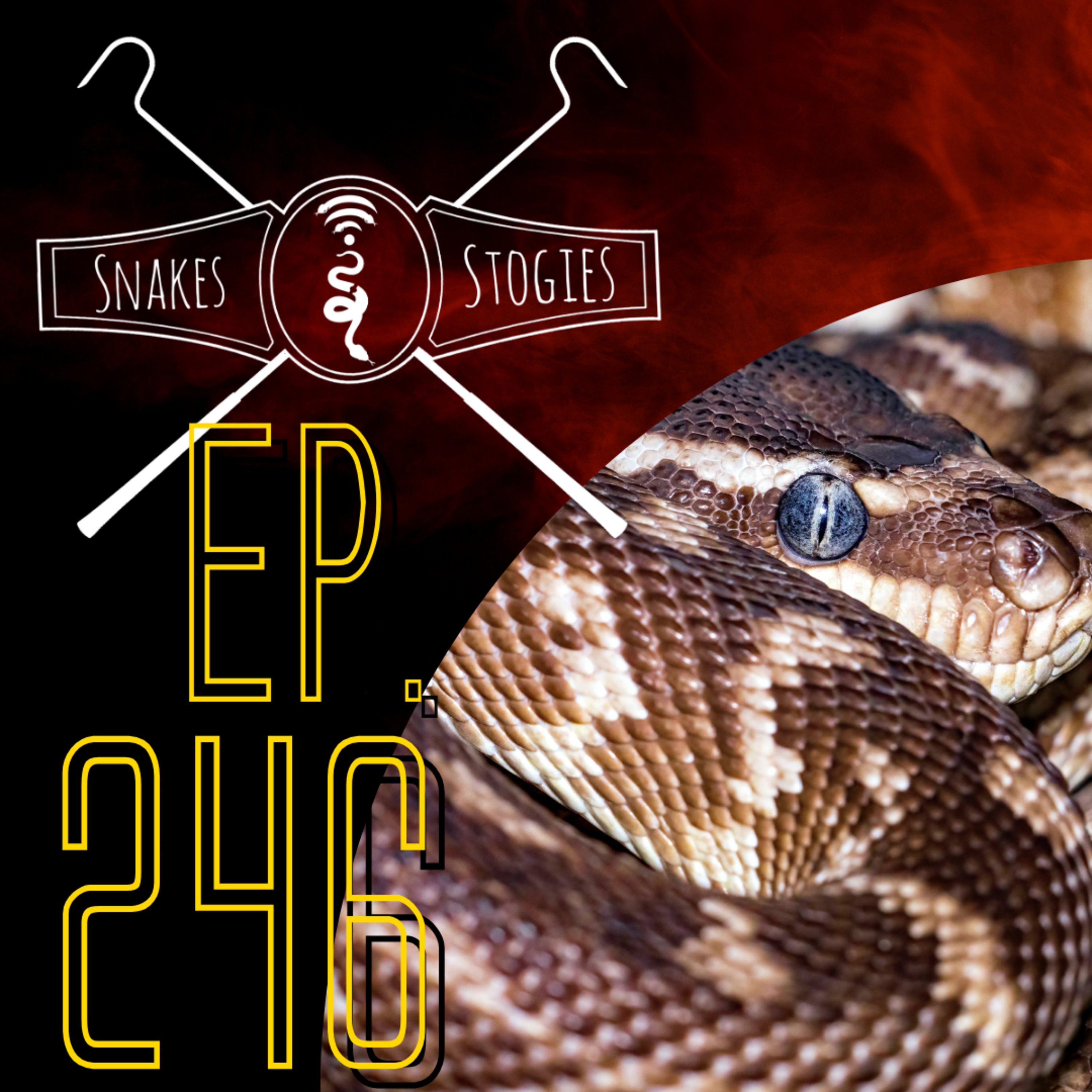 The Reptile Rejects of Canada | Snakes & Stogies Ep. 246