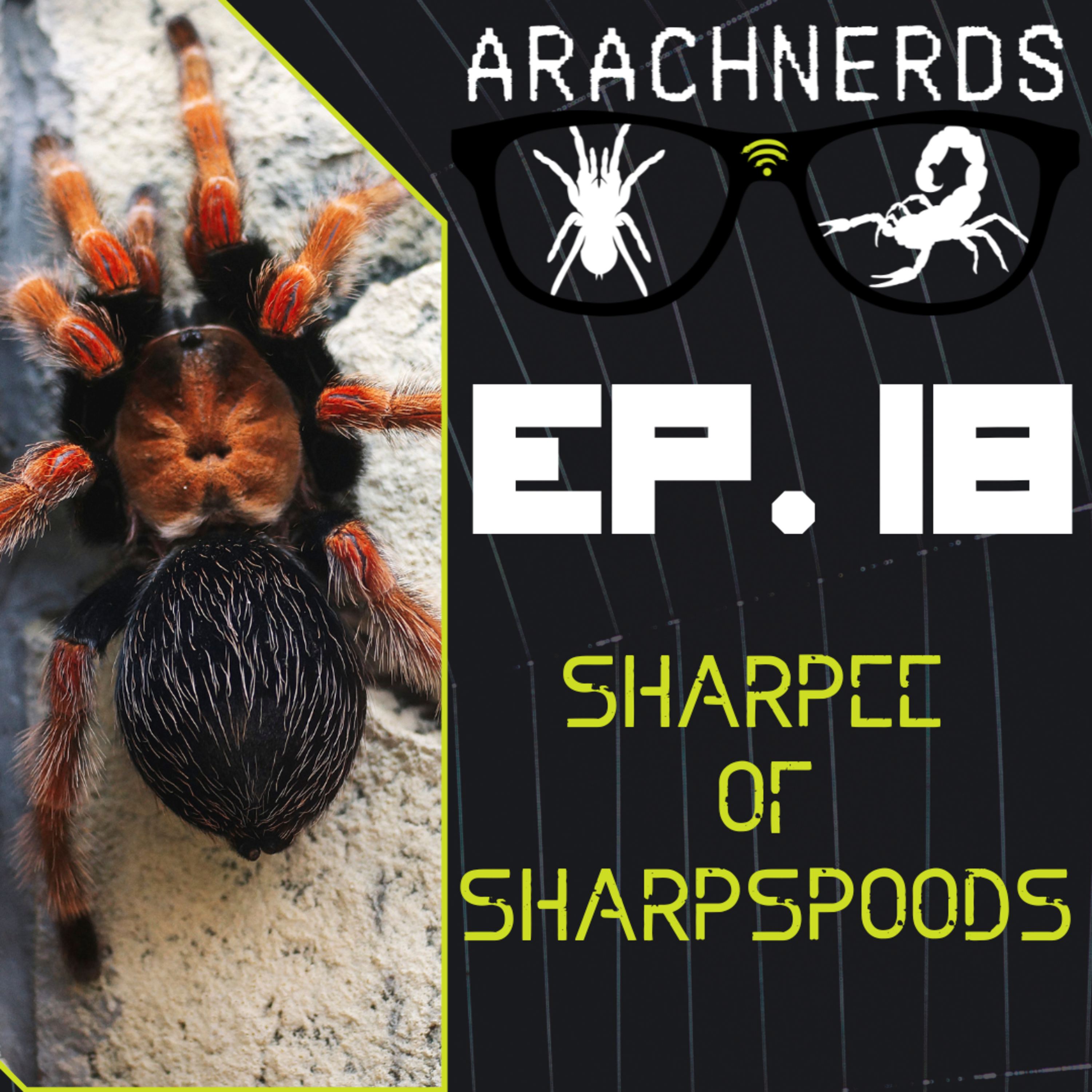 Sharpee of Sharpspoods | ArachNerds Ep. 18