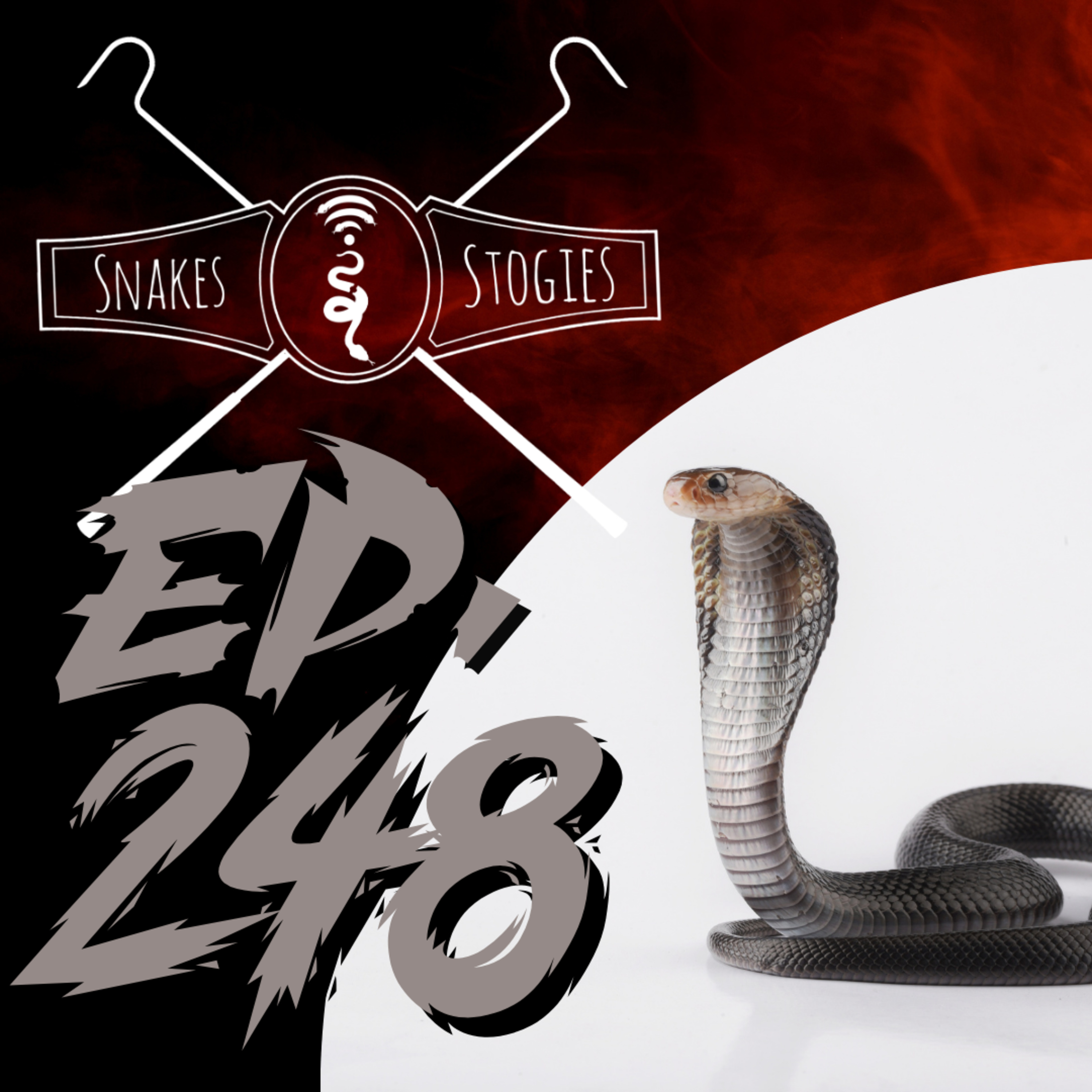 Winter prep and new gadgets | Snakes & Stogies Ep. 248