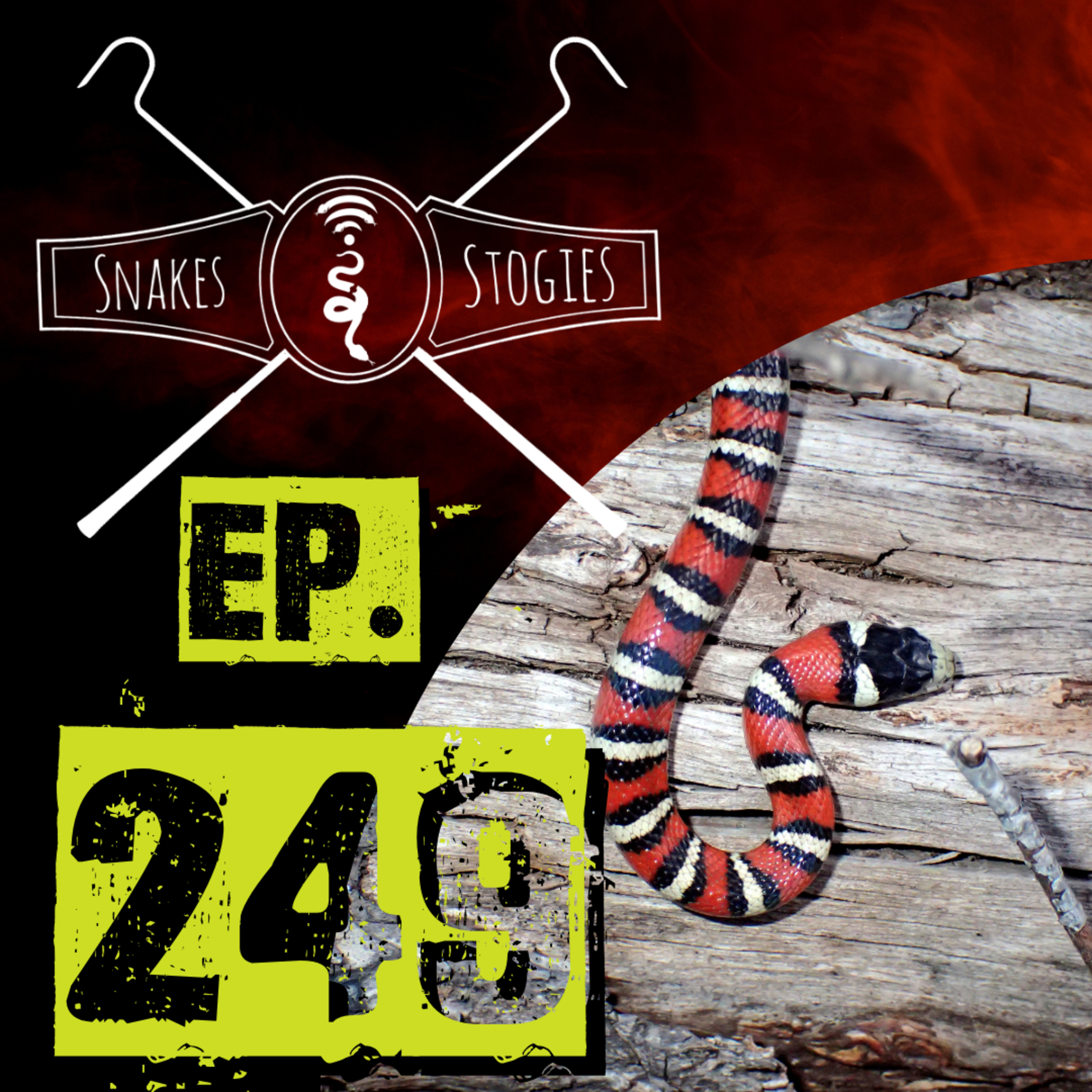Harry Claiborne | Snakes & Stogies Ep. 249 episode artwork