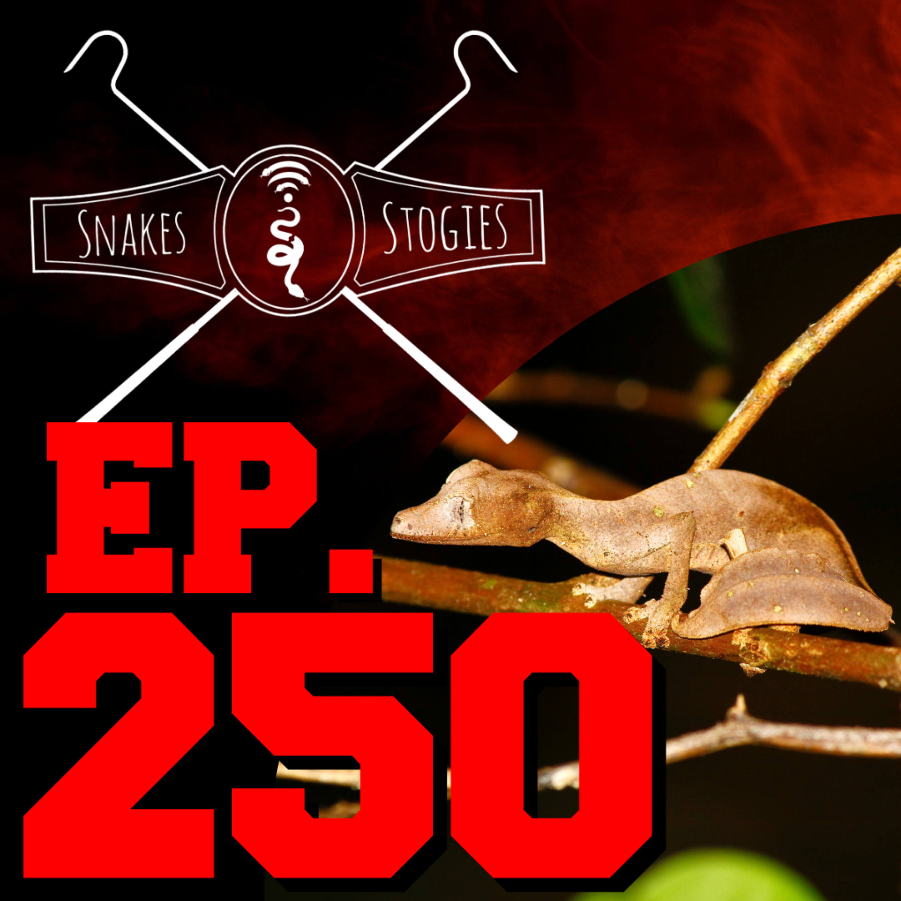 Gage Smith of LP Herpetoculture | Snakes & Stogies Ep. 250