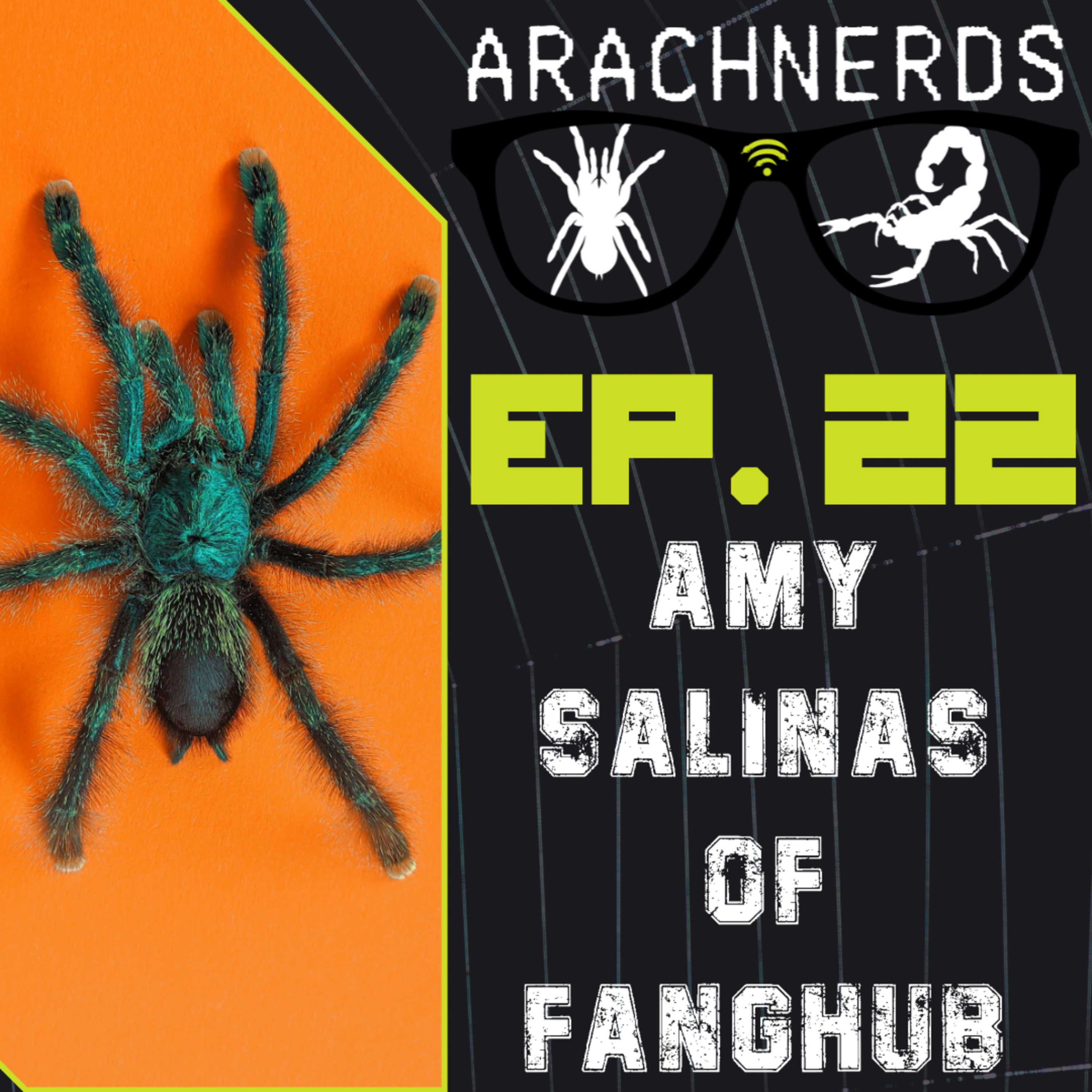 Amy Salinas of FangHub | ArachNerds Ep. 22