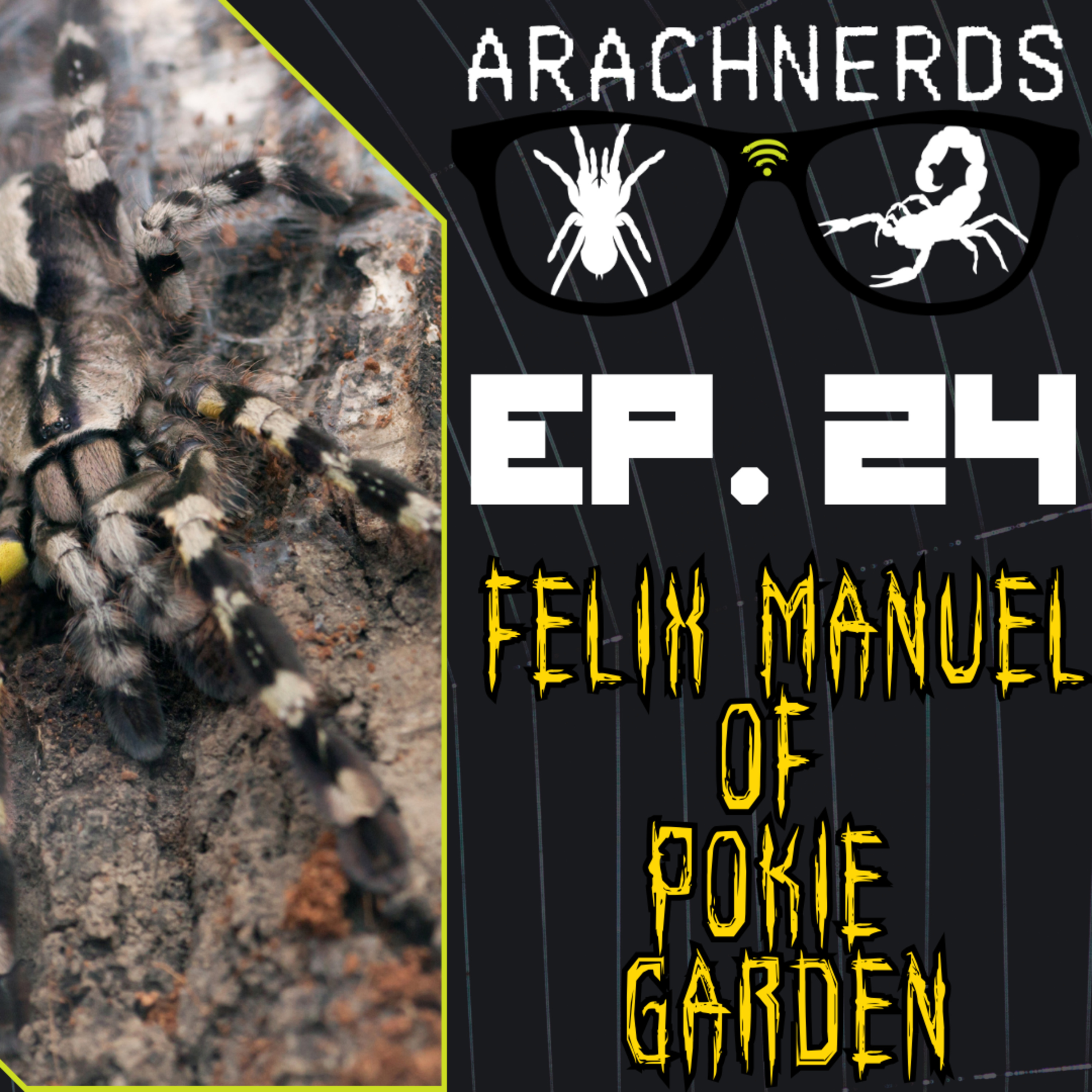 Felix Manuel of Pokie Garden | ArachNerds Ep. 24