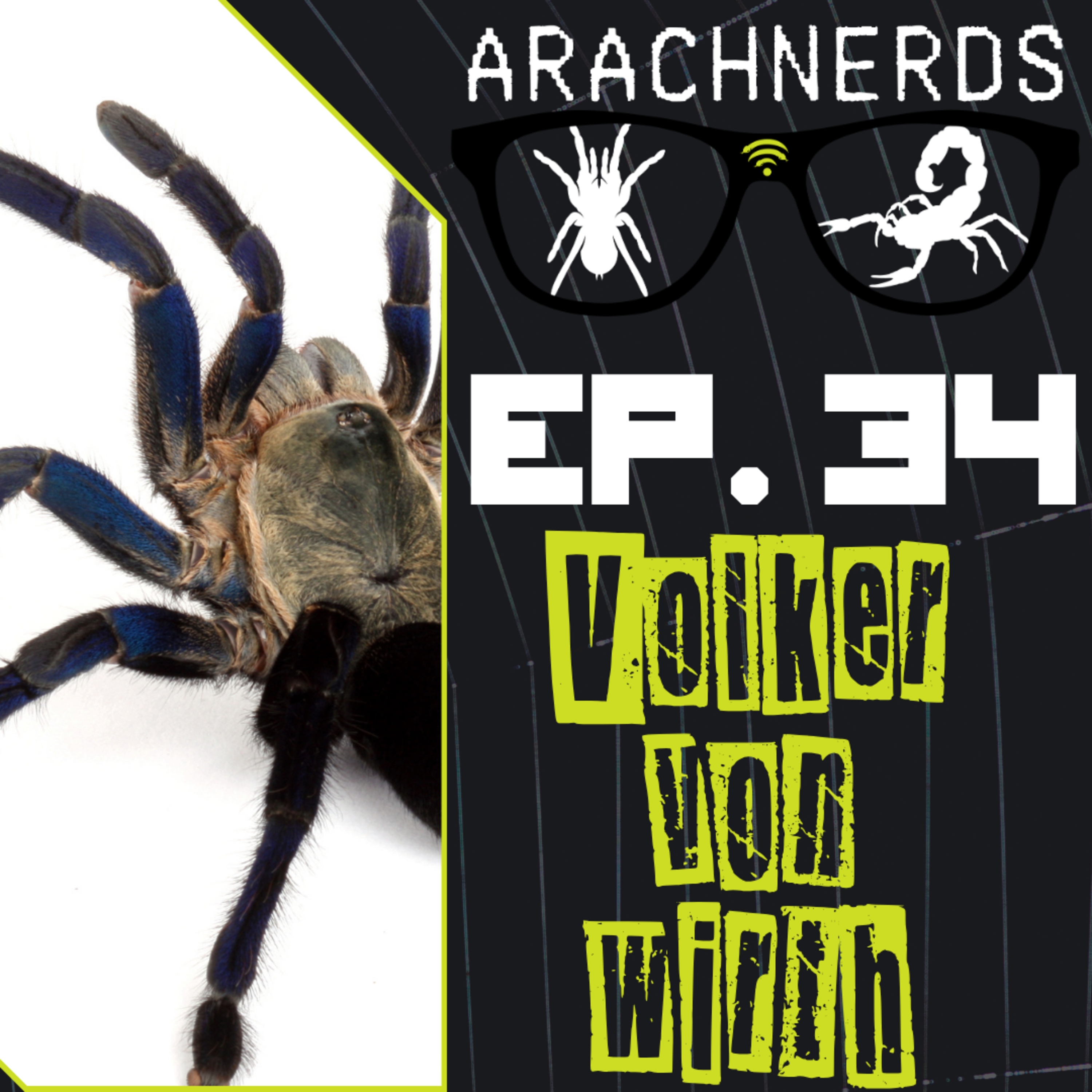 Volker Von Wirth | ArachNerds Ep. 34