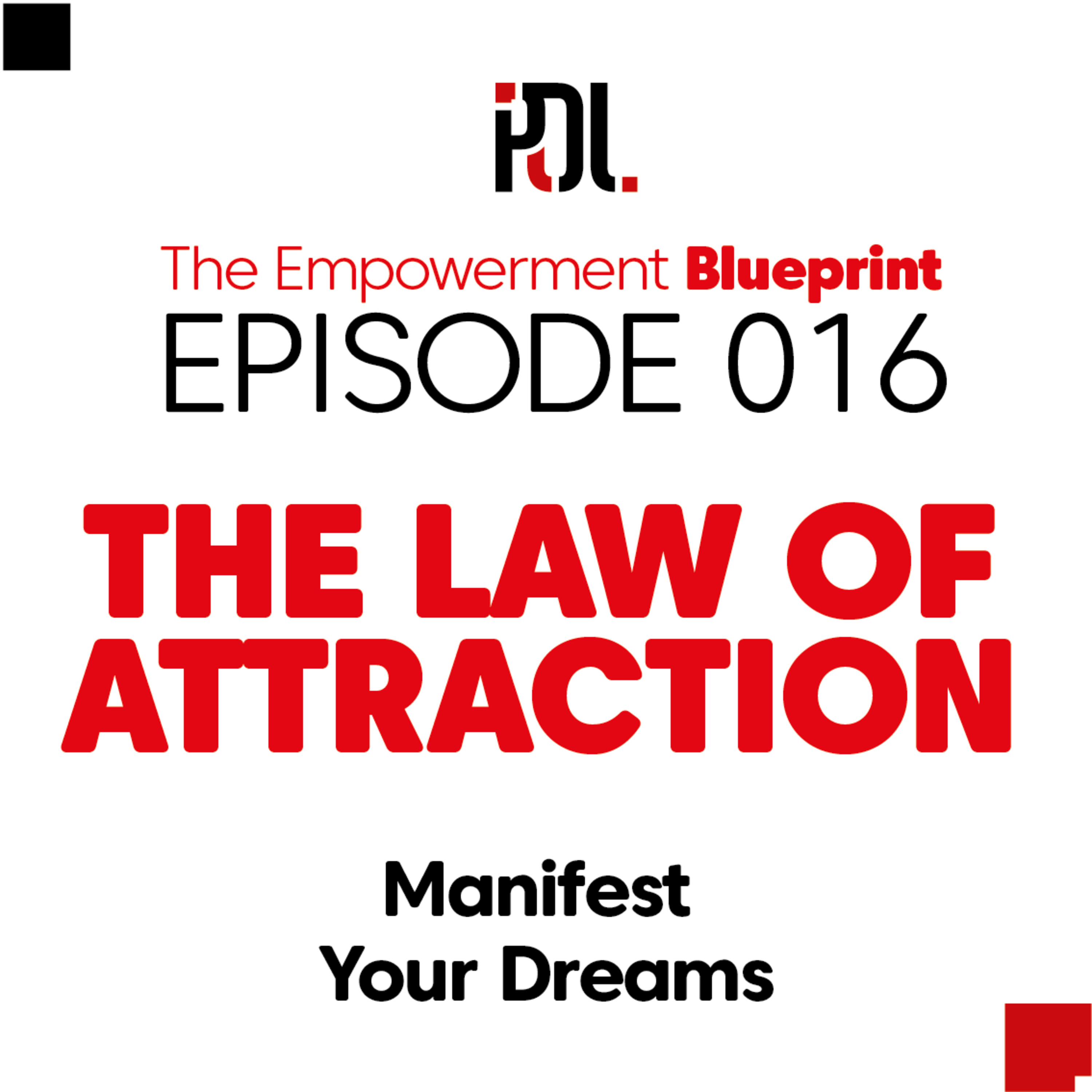 16 - The Law of Attraction: Manifest Your Dreams episode artwork