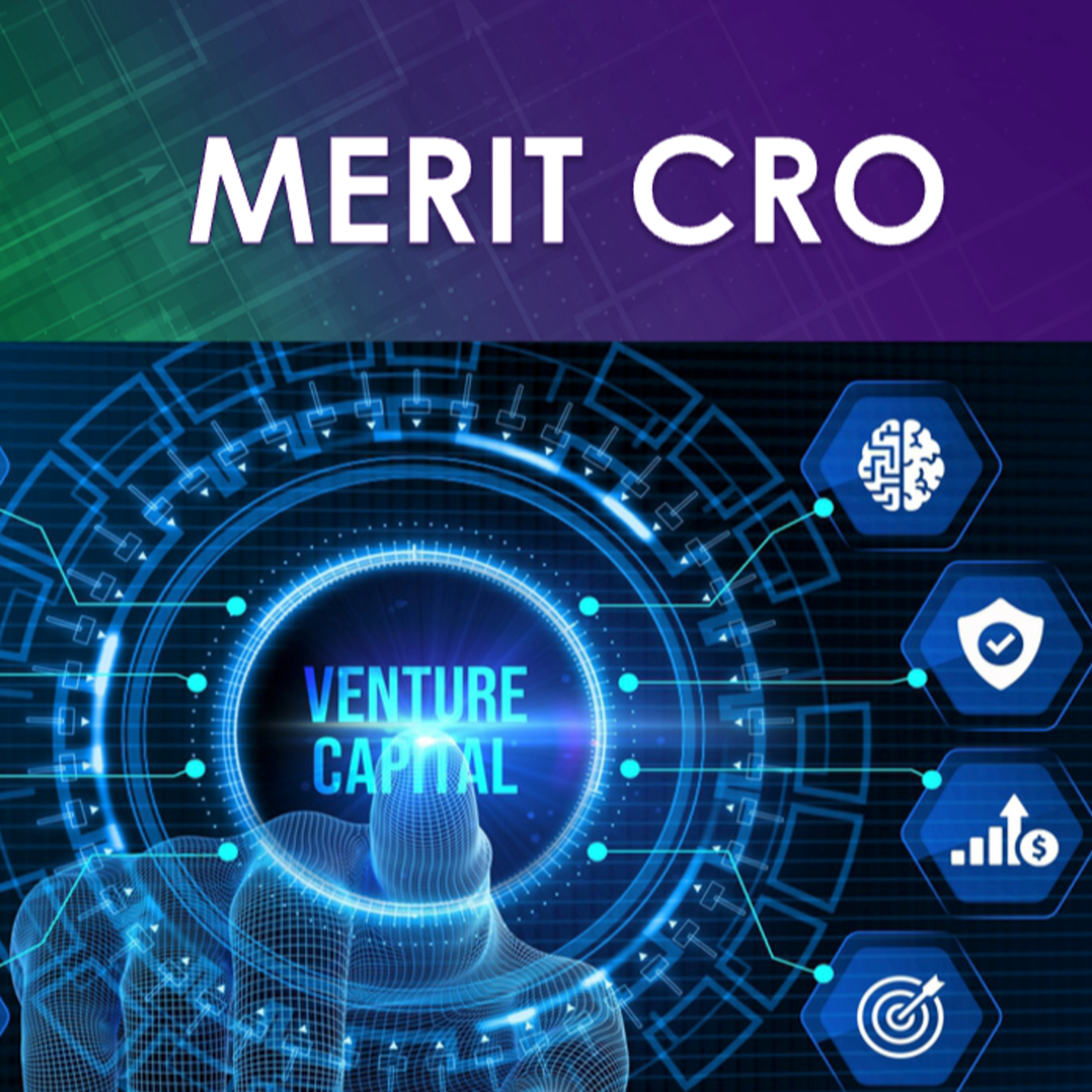 MERIT in Venture Capital: Insight Investing, Specialist Approach episode artwork