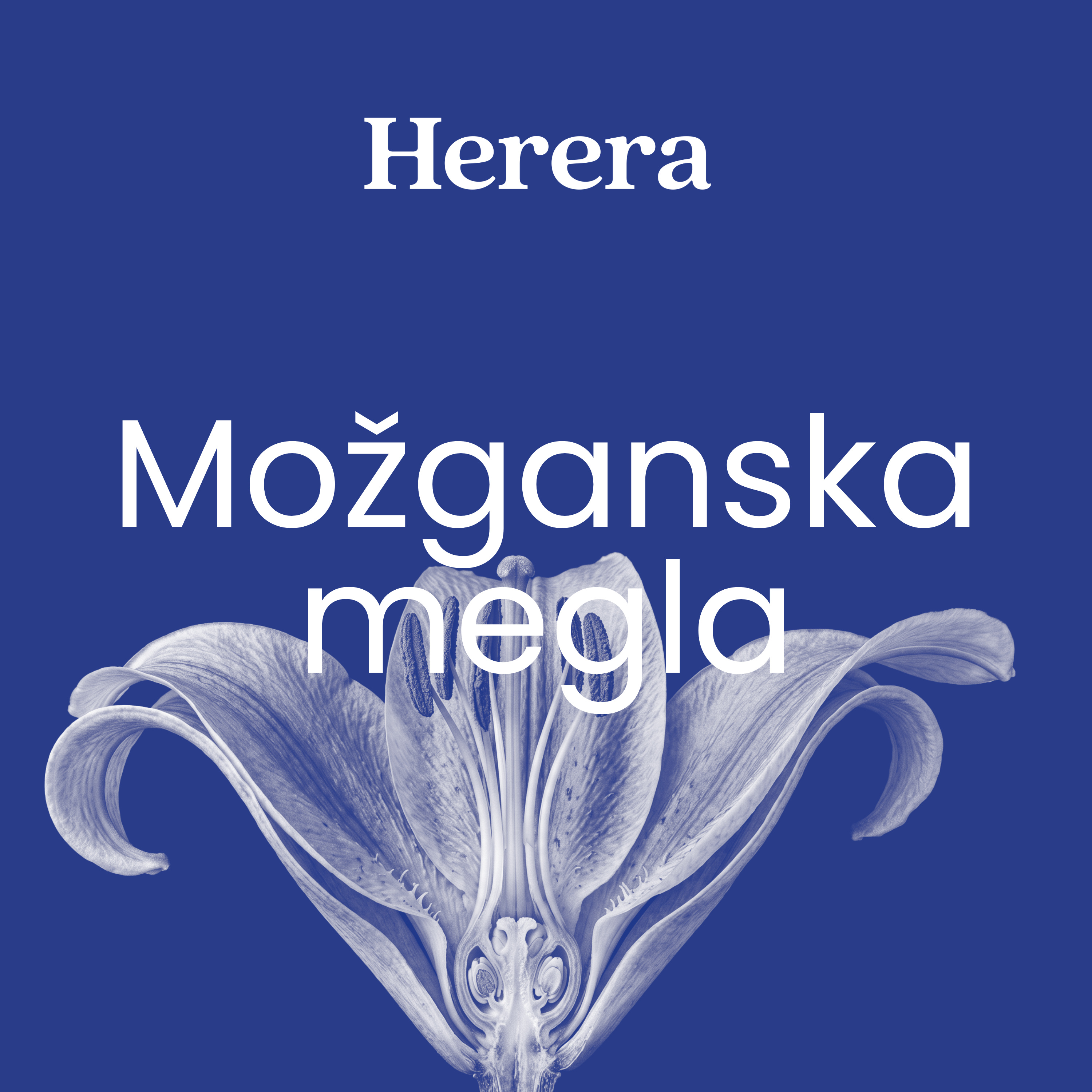 52: Anatomija simptoma – možganska megla episode artwork