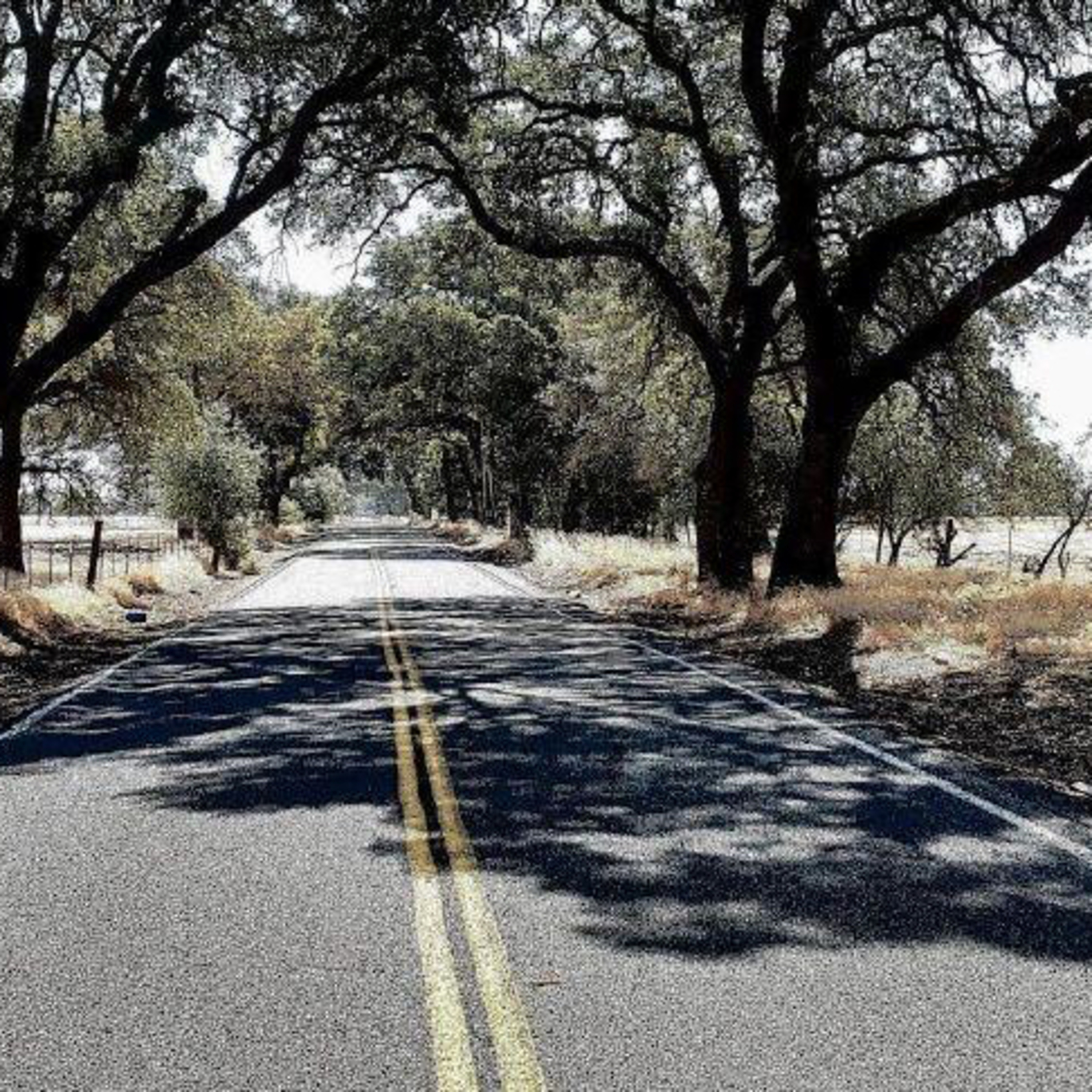 Episode 106: Haunted Dyer Lane: Ghost Stories & Legends episode artwork