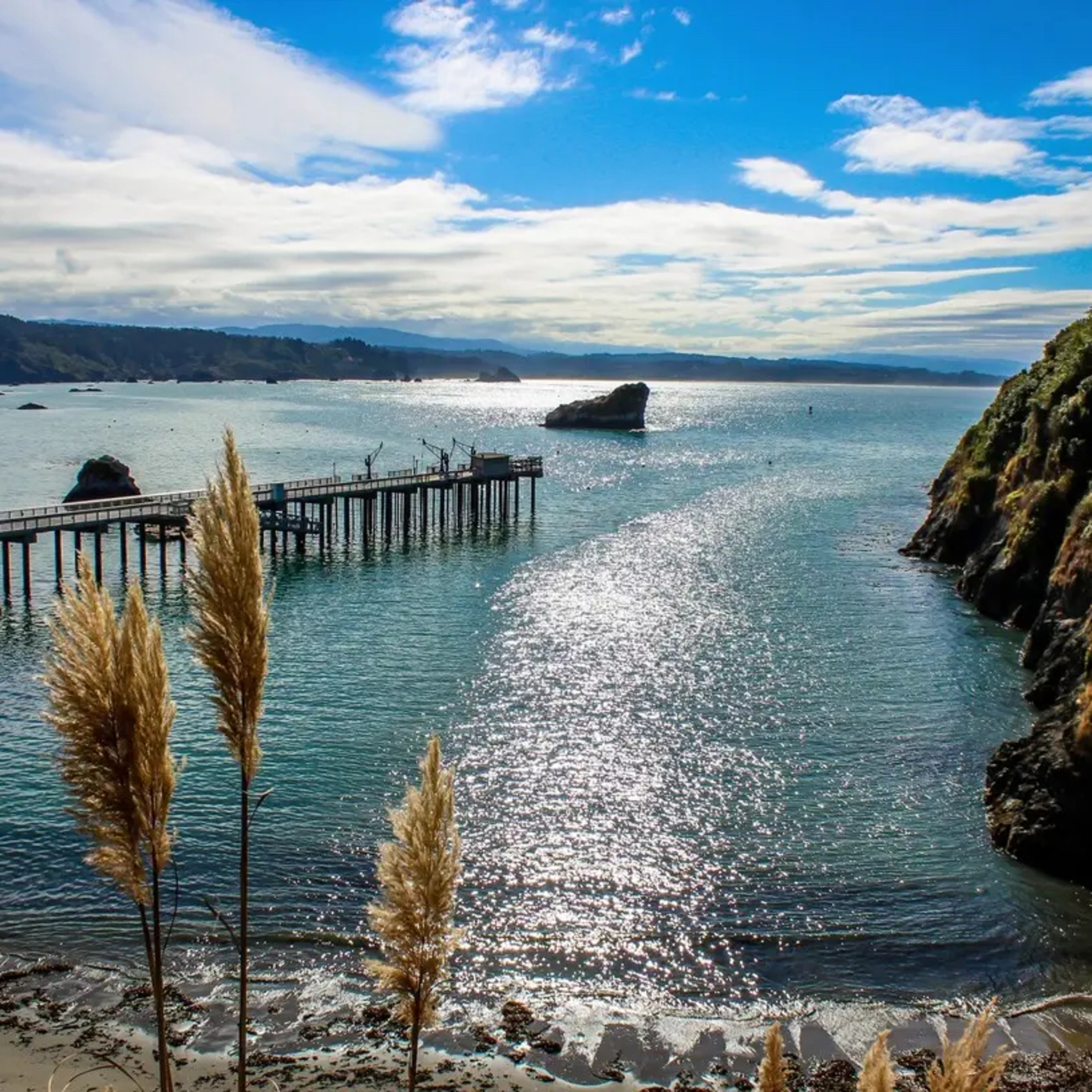 Episode 133: California Coastal National Monument. Six new areas.  episode artwork
