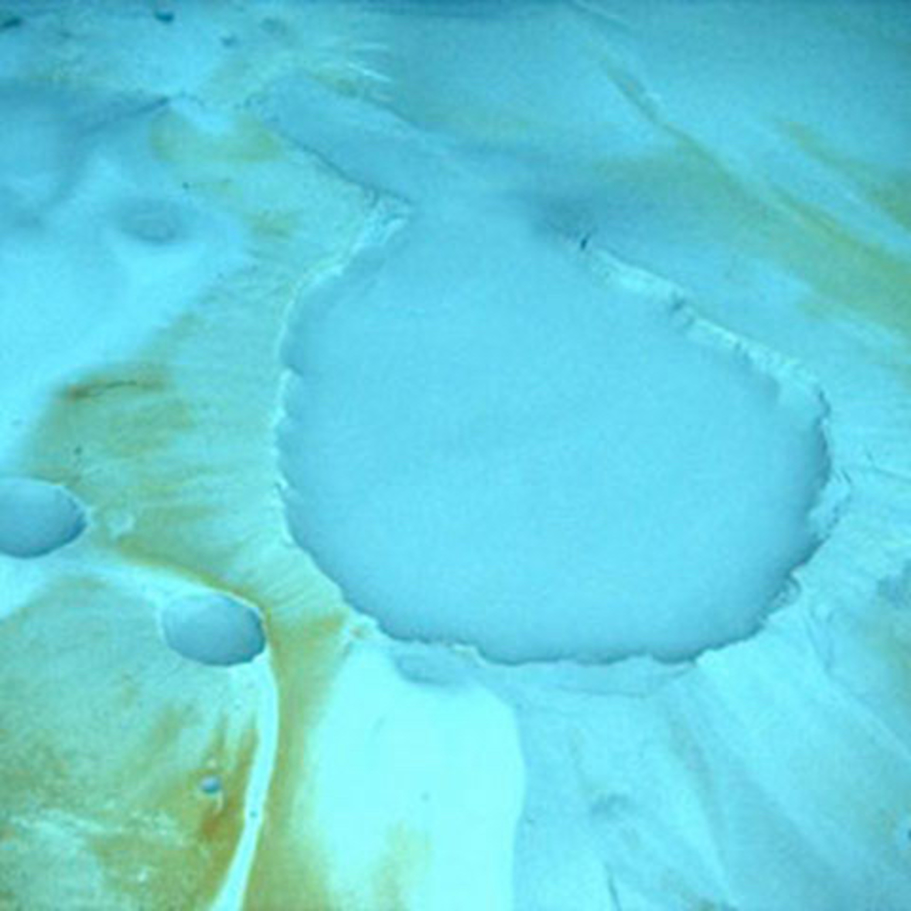 S2 #28: The Gigantic Salt Diapirs of the Gulf of Mexico episode artwork