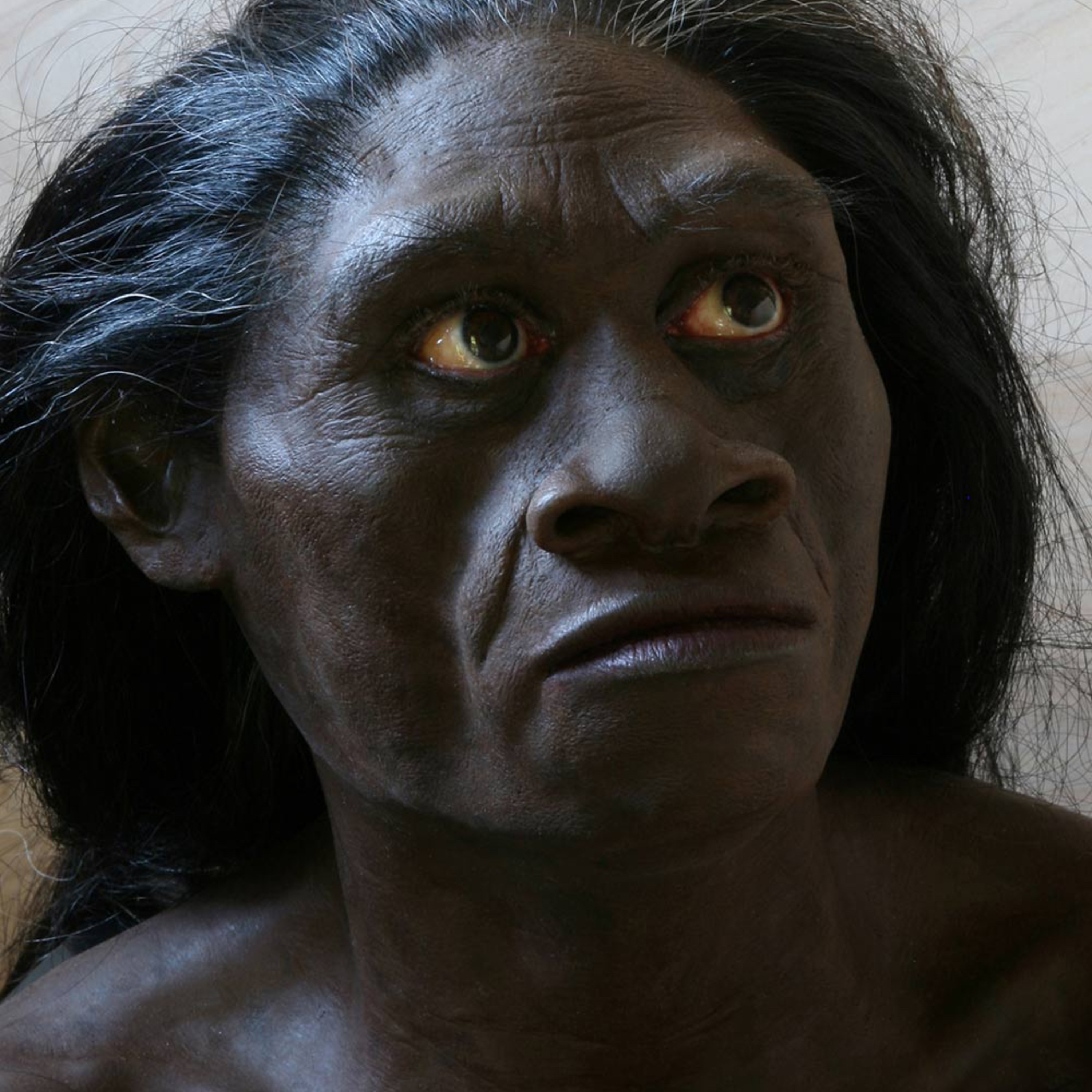 Homo Floresiensis: Island Hobbits and Hidden Hominoids episode artwork