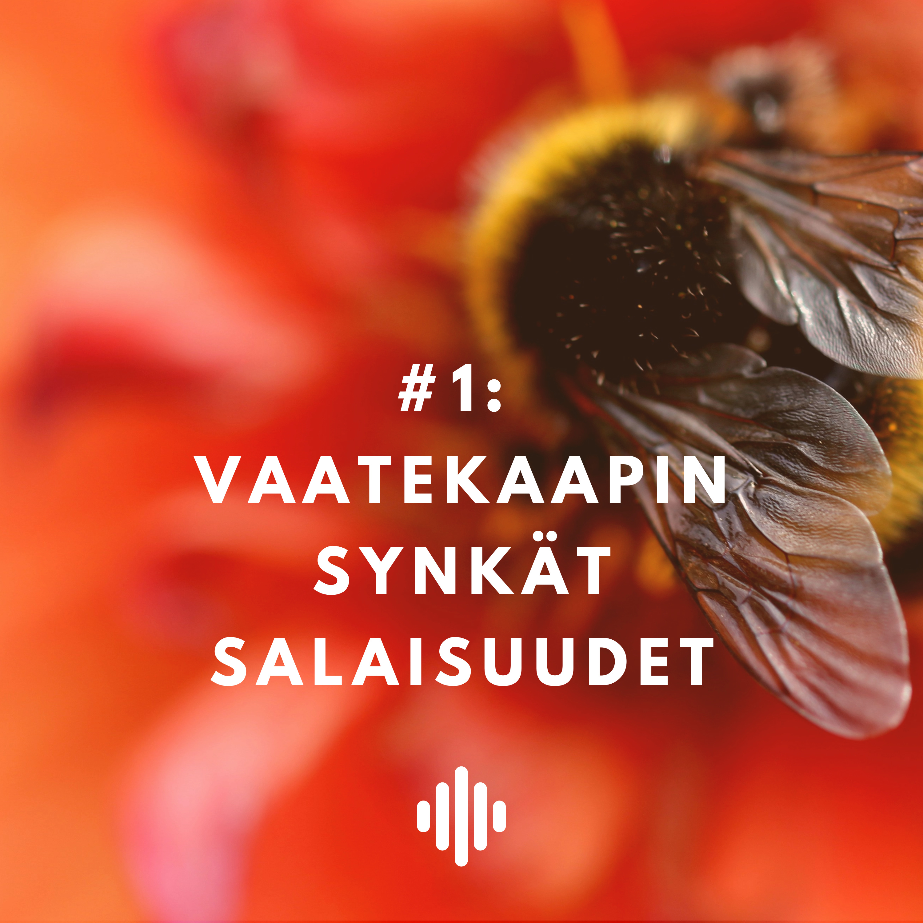 Ilmasto kriisissä