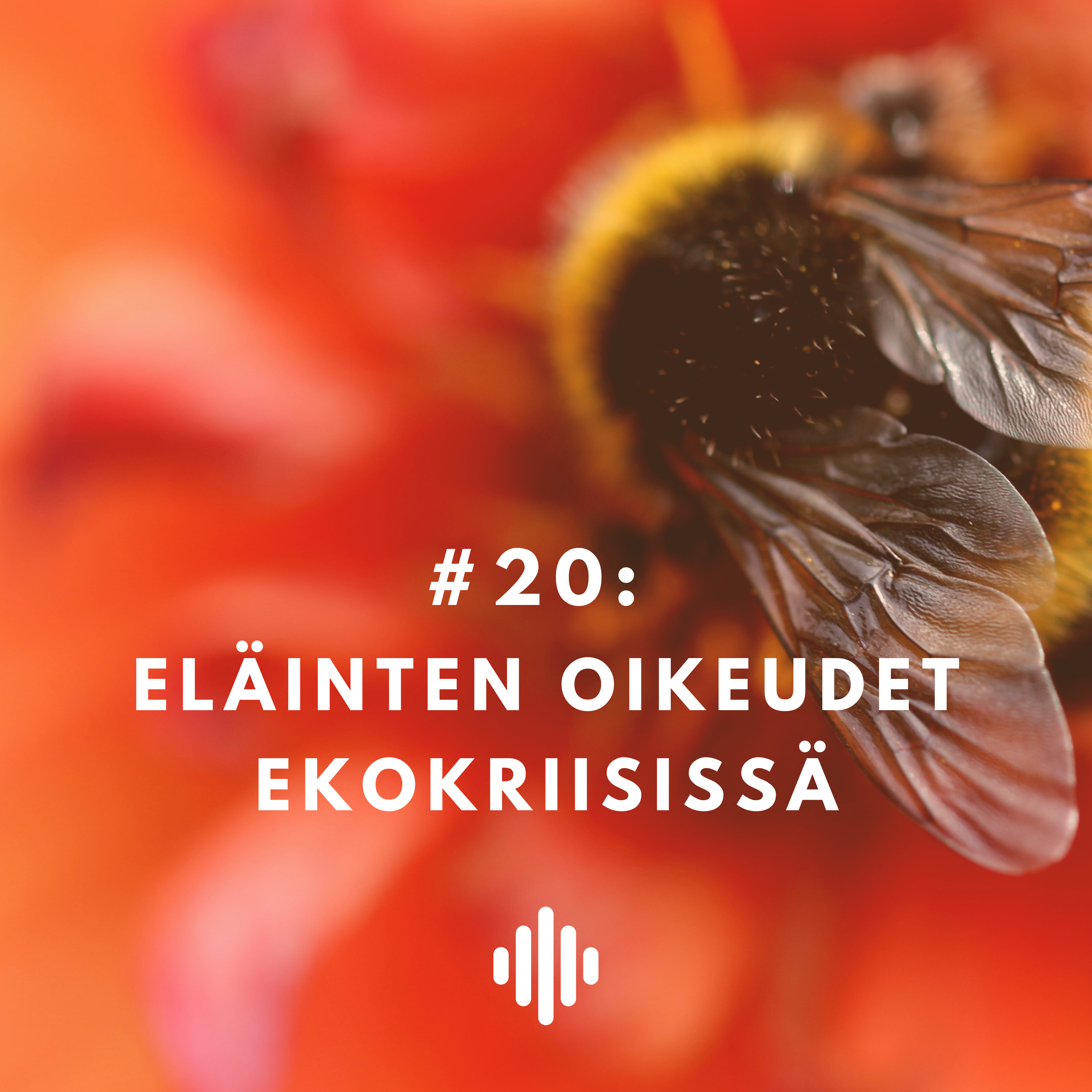 Ilmasto kriisissä
