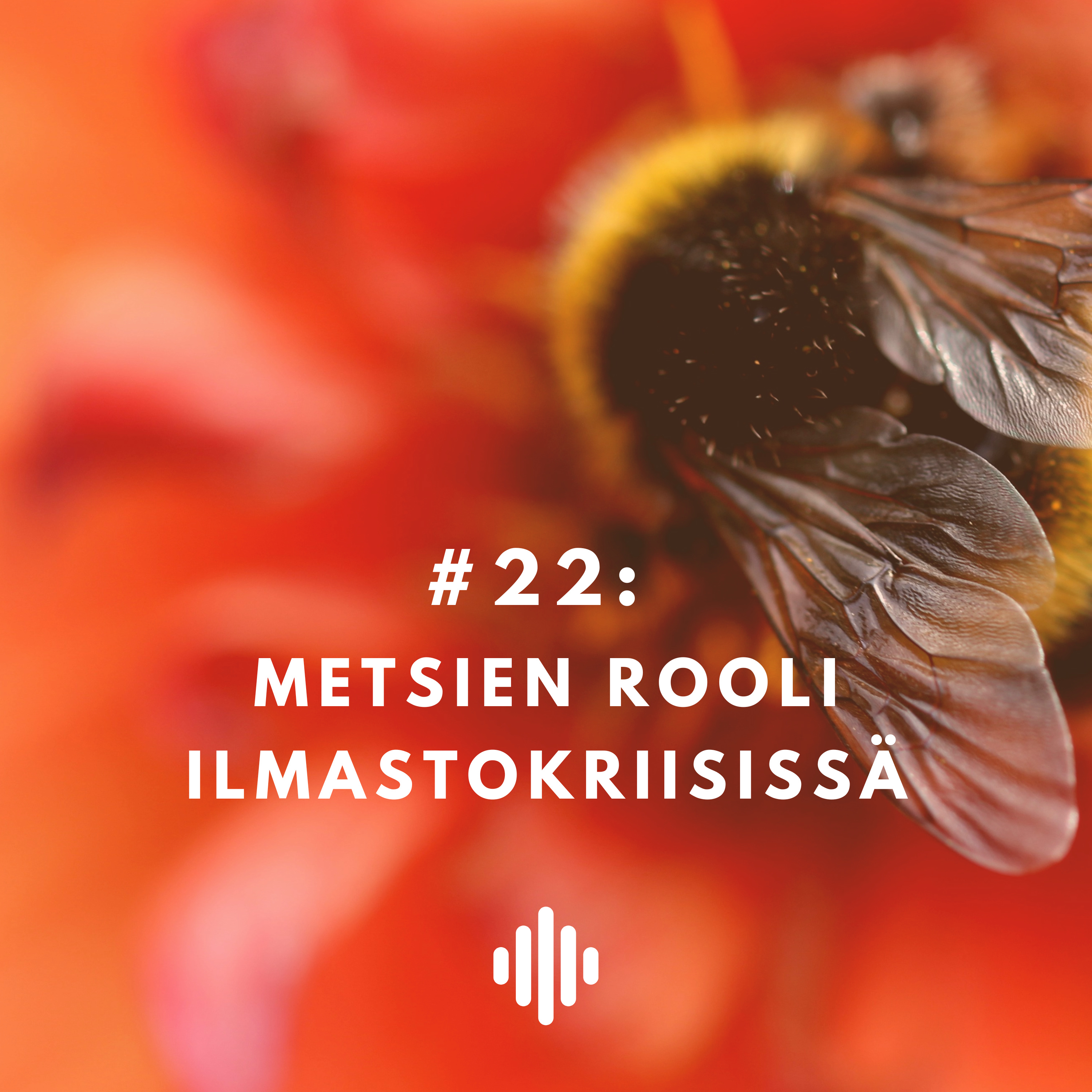 Metsien rooli ilmastokriisissä episode artwork