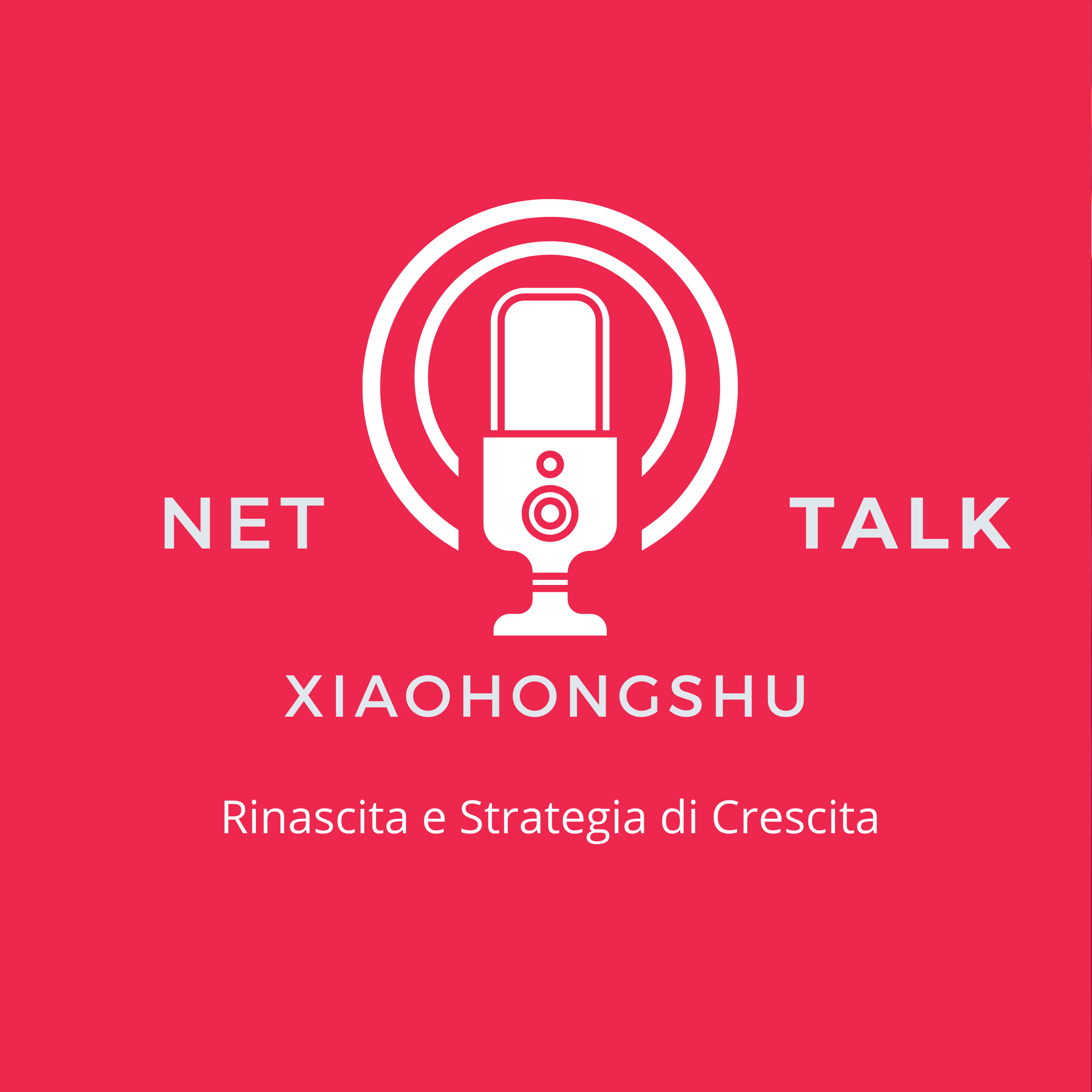 NetTalk
