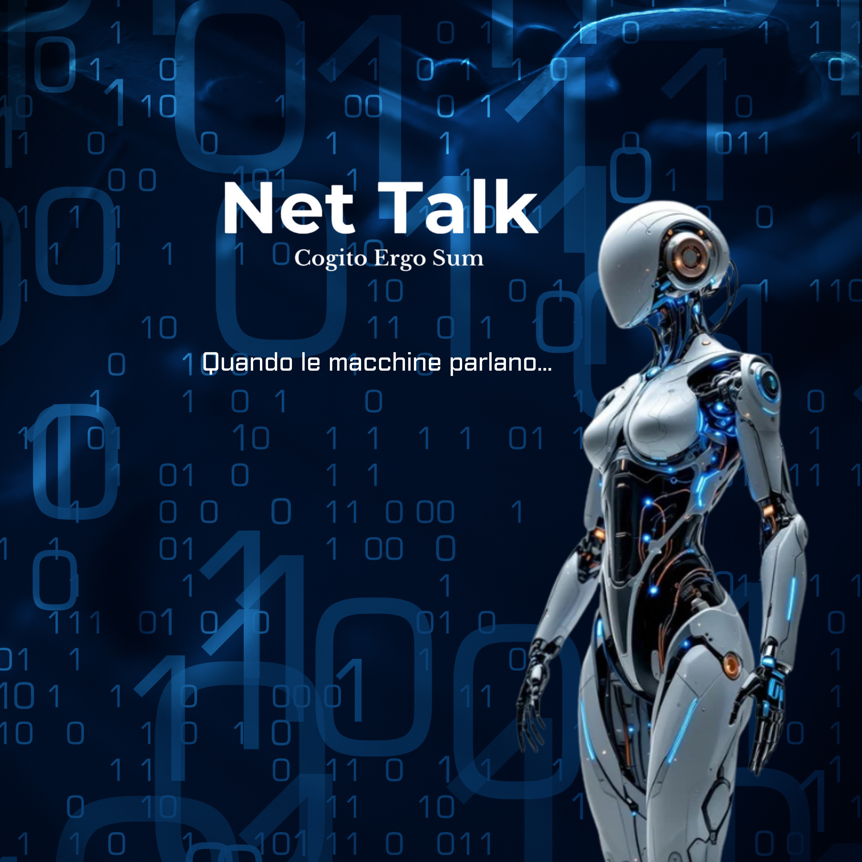 NetTalk