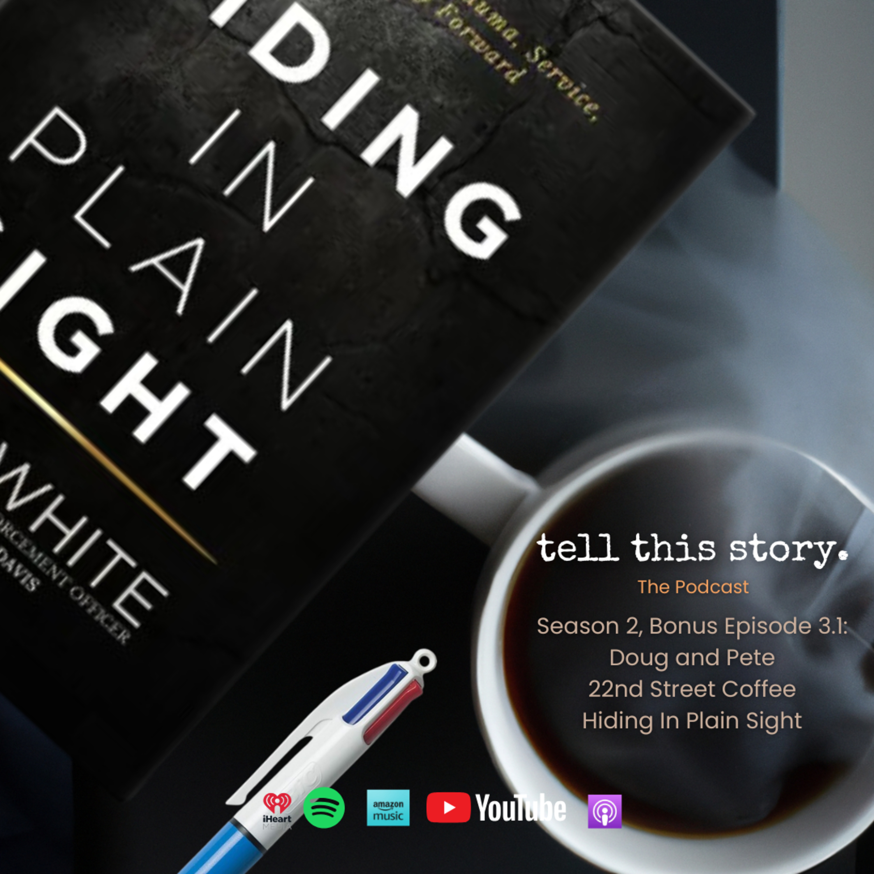 S2, Bonus Episode 3.1.: Hiding in Plain Sight: A Journey of Healing with Pete Palm episode artwork