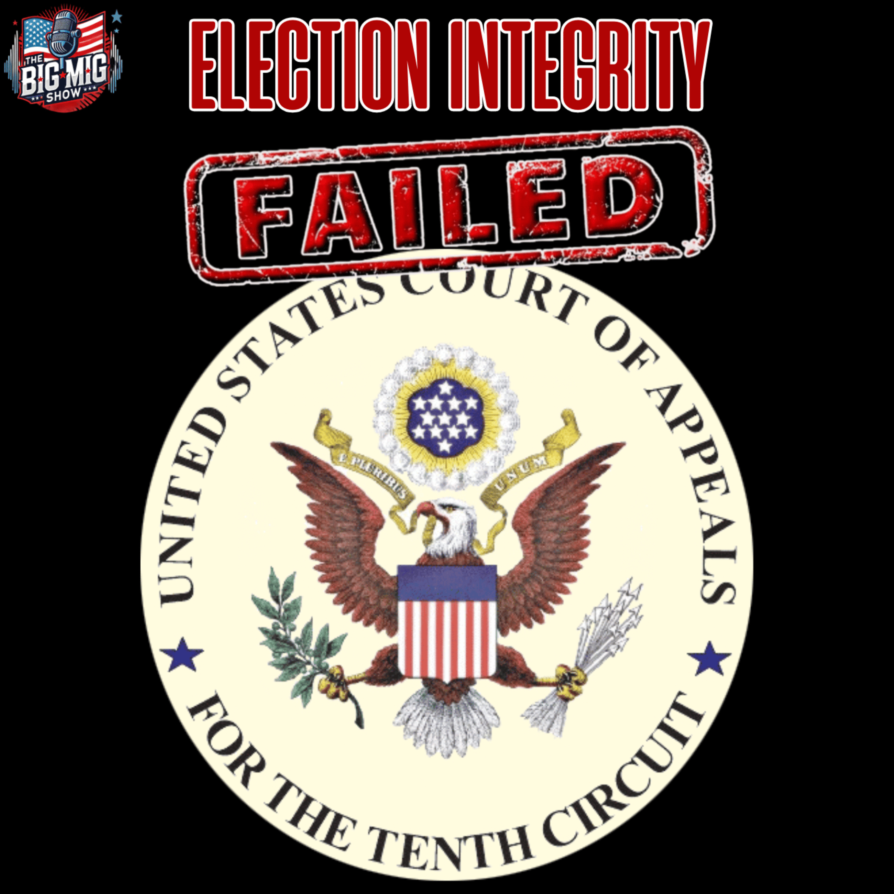 Election Integrity Failed, The 10th Circuit Court Abandoned Americans |EP891 episode artwork