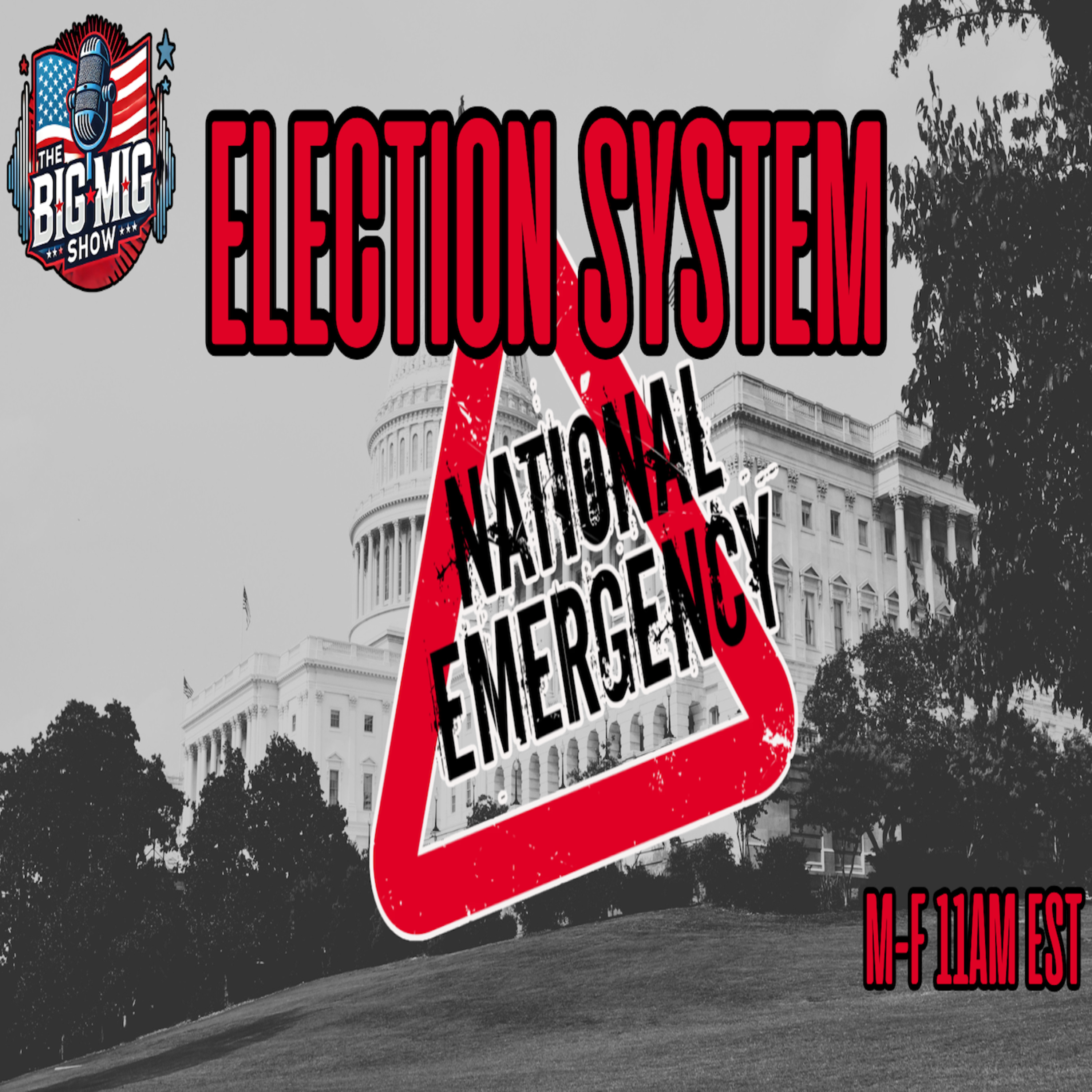 Calls For Trump to Declare National Emergency to Save Elections |EP897 episode artwork