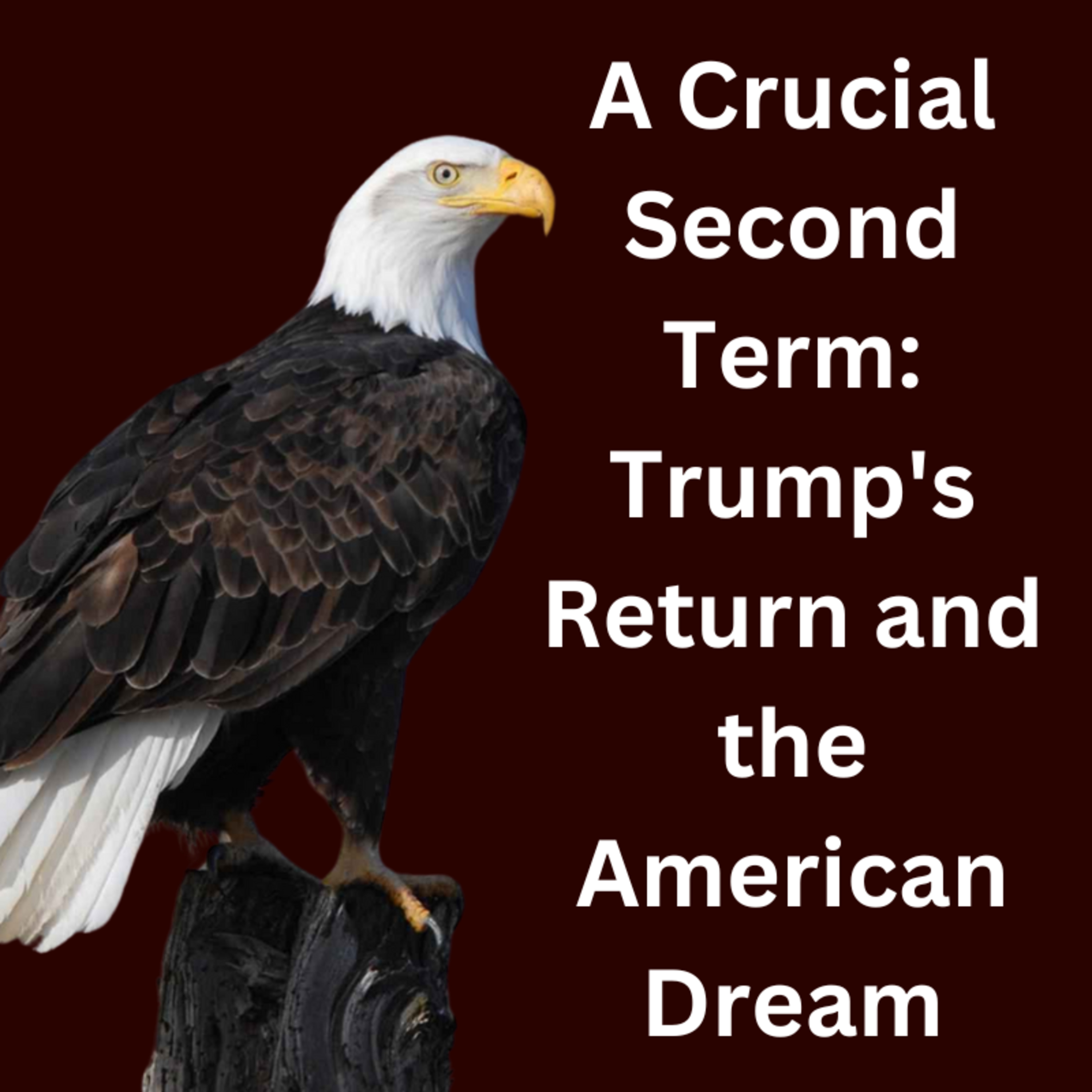 #6 A Crucial Second Term: Trump's Return and the American Dream episode artwork