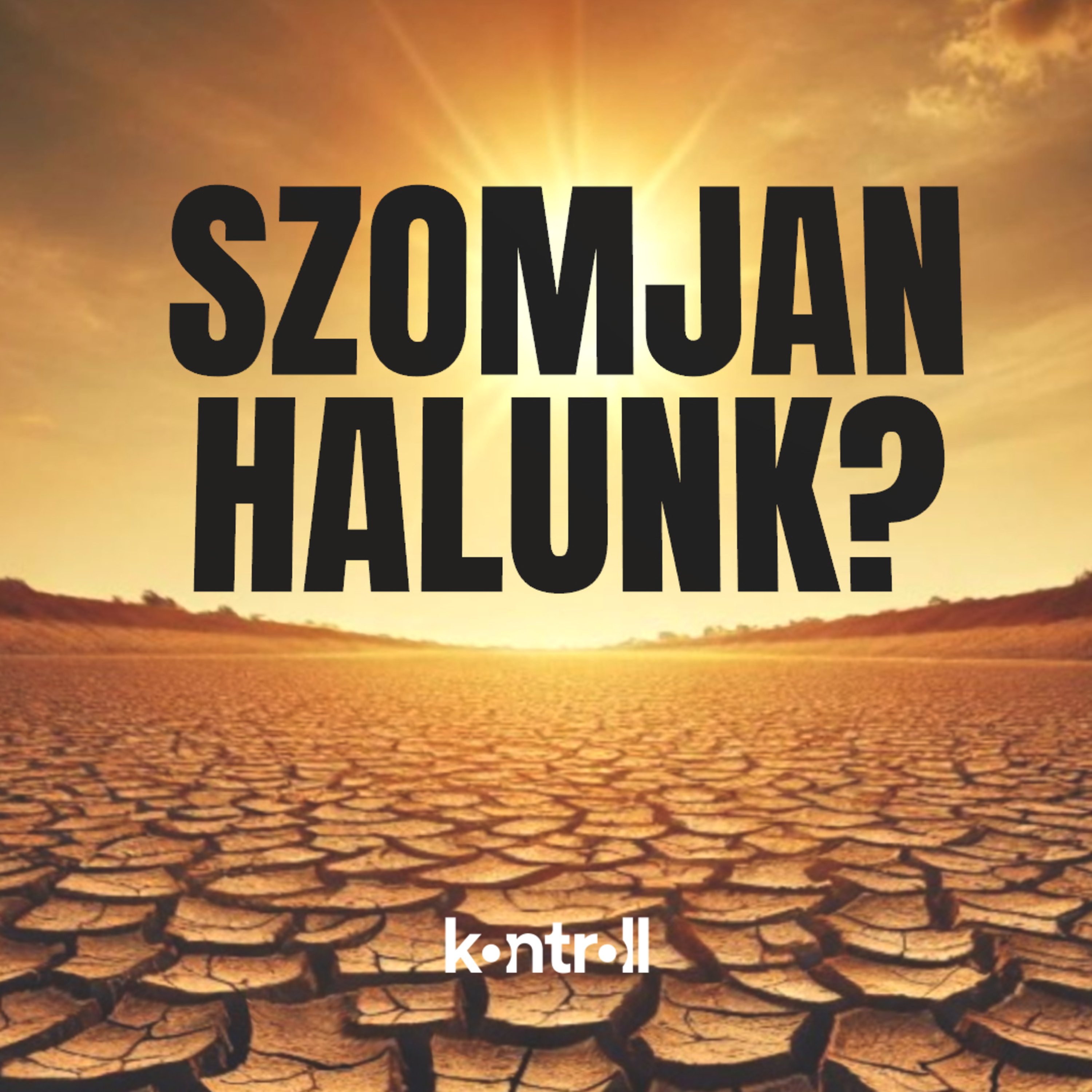 Helyreállítható az Alföld természetes működése, csak ki kell engedni a vizet a folyókból episode artwork