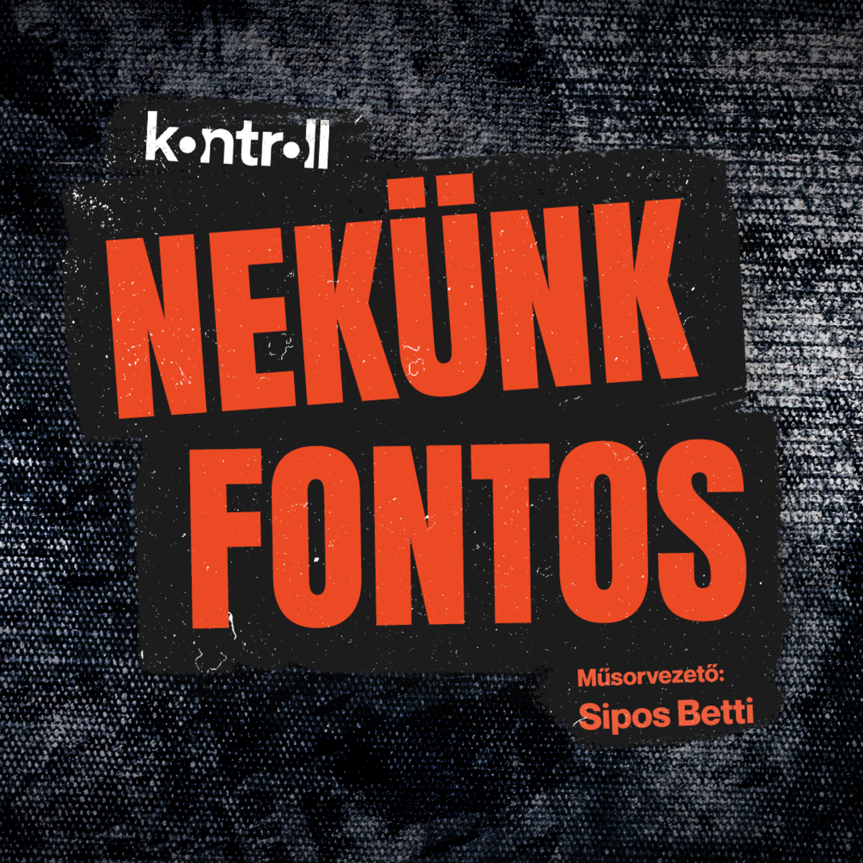 Lakatos Ádám: A kormány nem is tervezi, hogy javítson a gyermekvédelem helyzetén // NEKÜNK FONTOS episode artwork