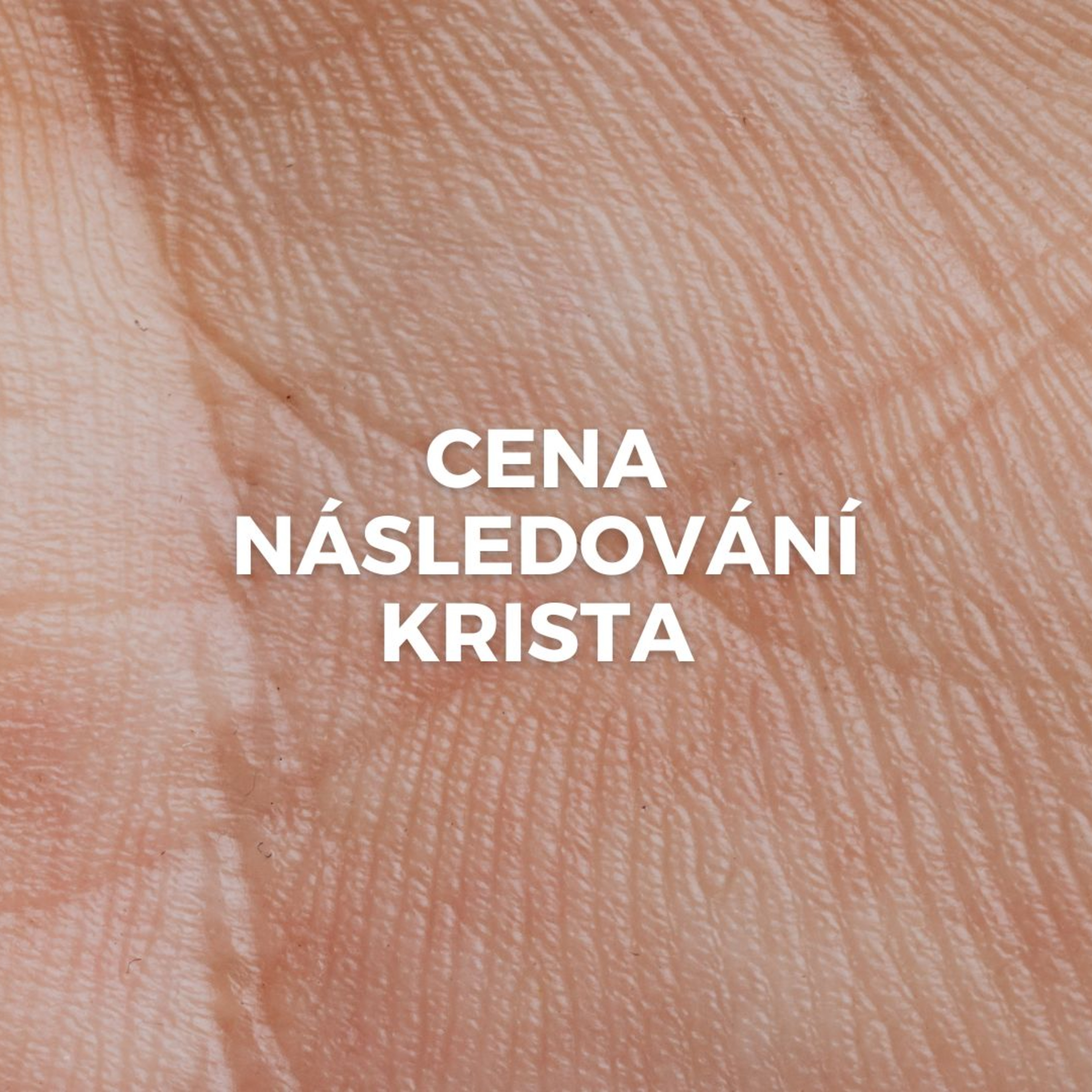 CENA NÁSLEDOVÁNÍ KRISTA episode artwork