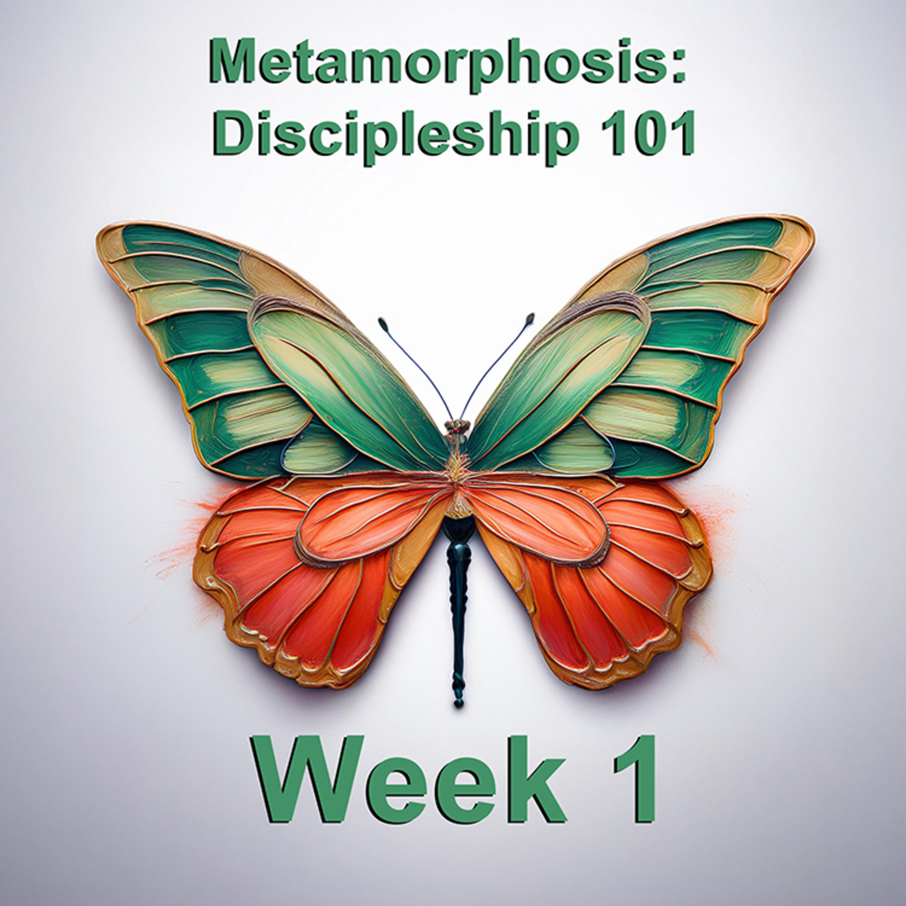 Metamorphosis: Discipleship 101 episode artwork
