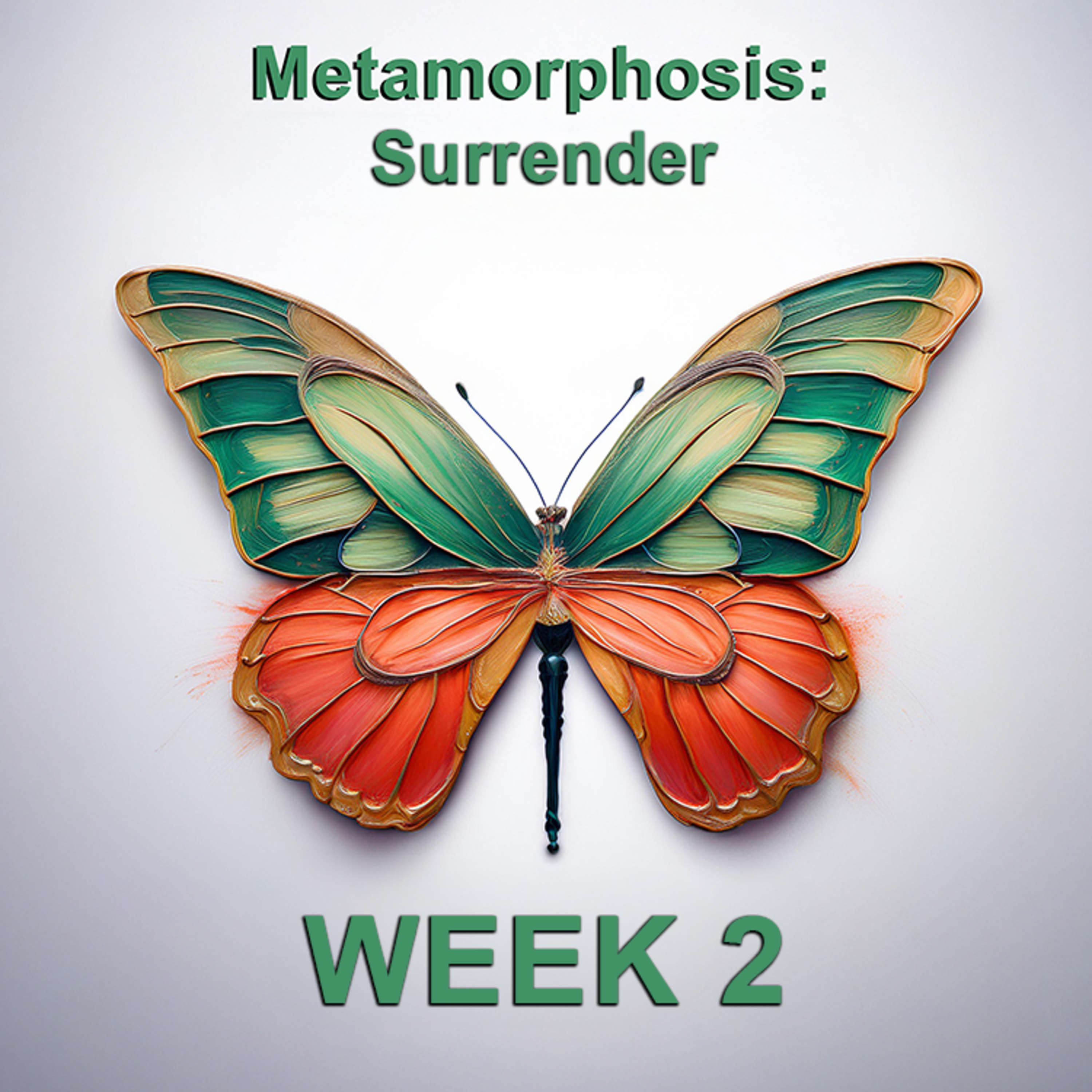 Metamorphosis: Let go to grow episode artwork