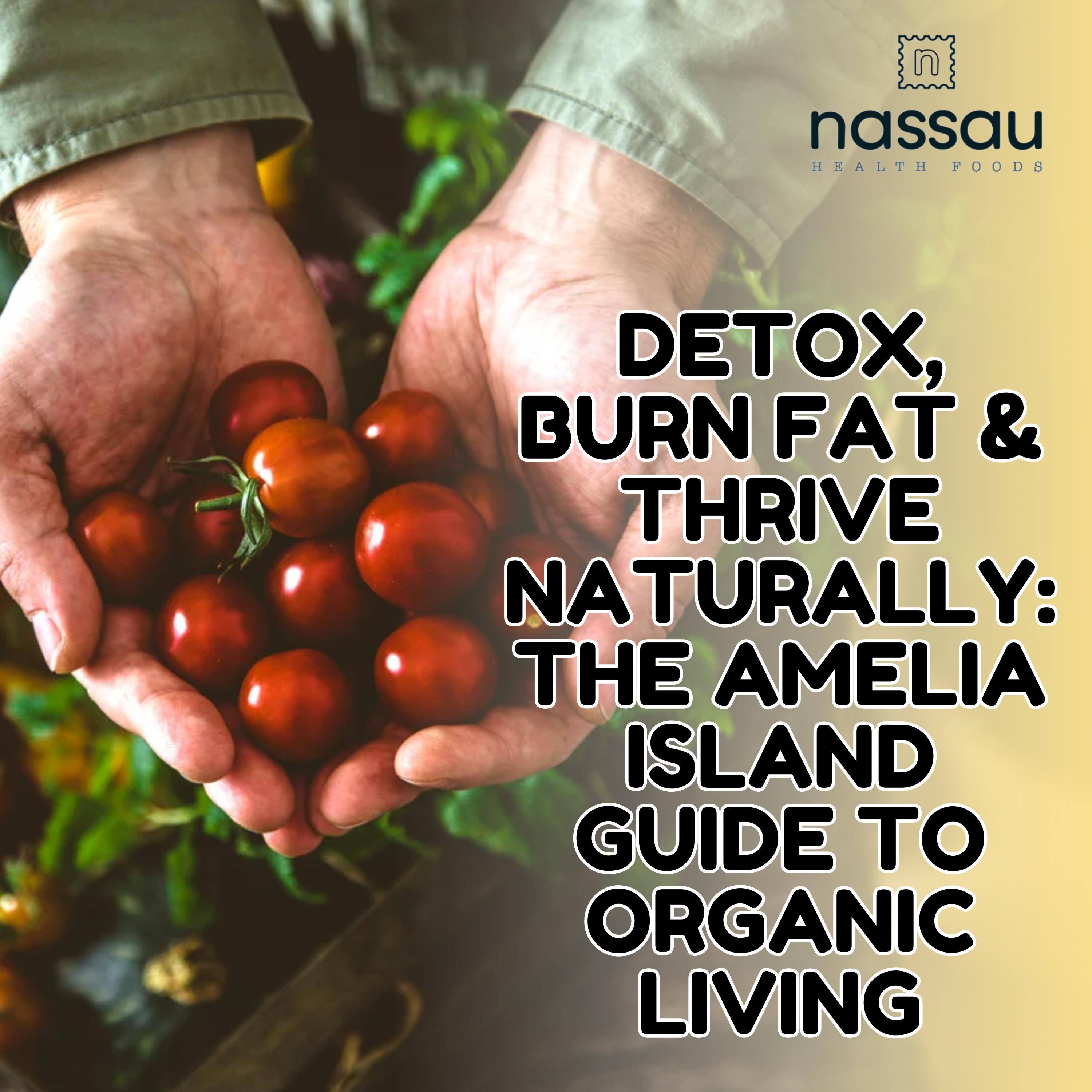 EP 23: Detox, Burn Fat & Thrive Naturally: The Amelia Island Guide to Organic Living episode artwork